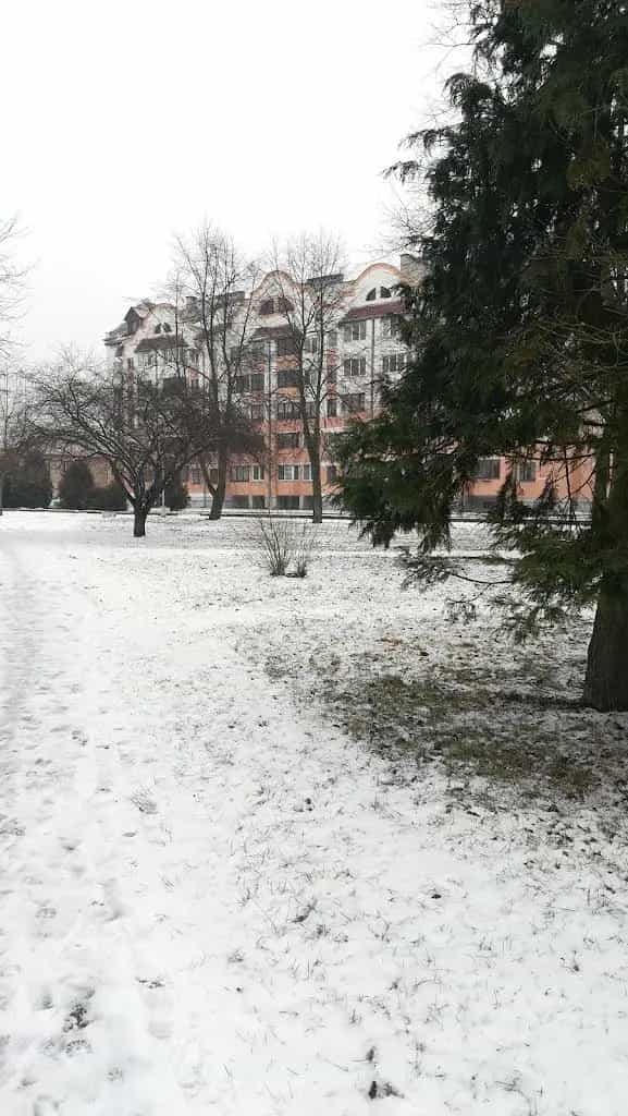 Беларусь, Брестская область, Пинск, улица Крупской, 6, фото 3