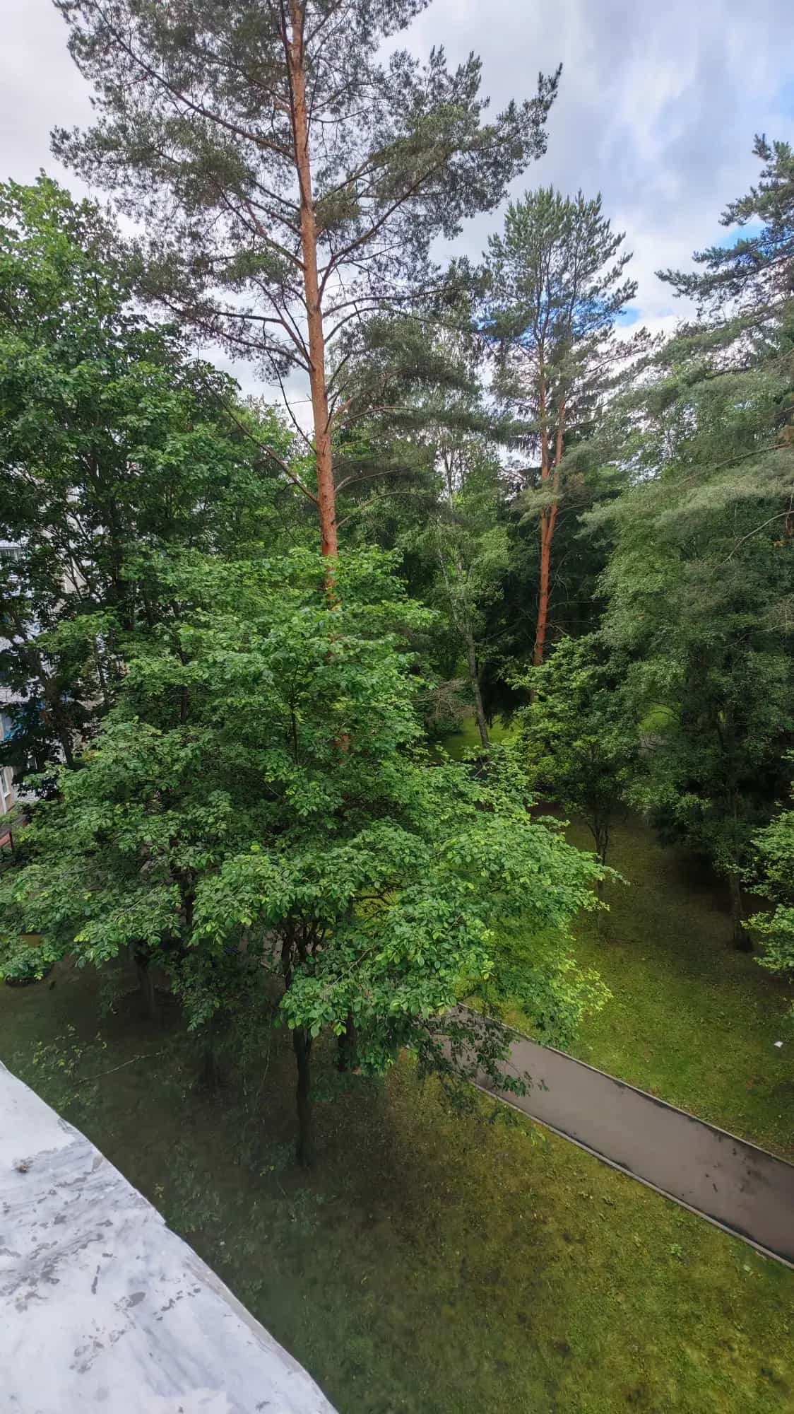 Беларусь, Витебская область, Новополоцк, улица Дружбы, 3, фото 3