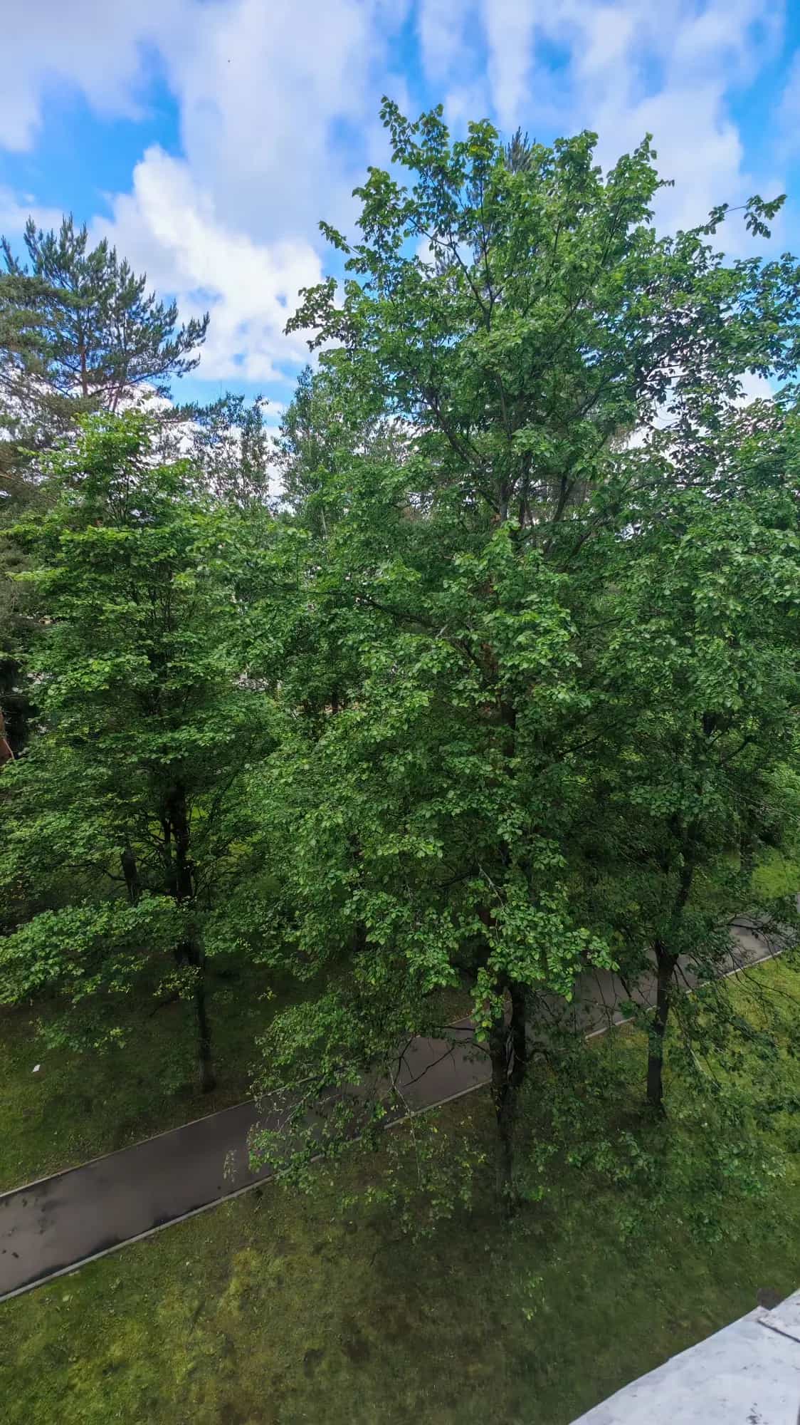 Беларусь, Витебская область, Новополоцк, улица Дружбы, 3, фото 4