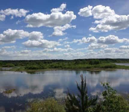 Беларусь, Гродненская область, Ивьевский район, Лелюкинский сельсовет, деревня Лотевка, 1В