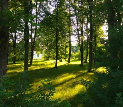 Беларусь, Гродненская область, Ивьевский район, Лелюкинский сельсовет, деревня Лотевка, 1В, фото 2