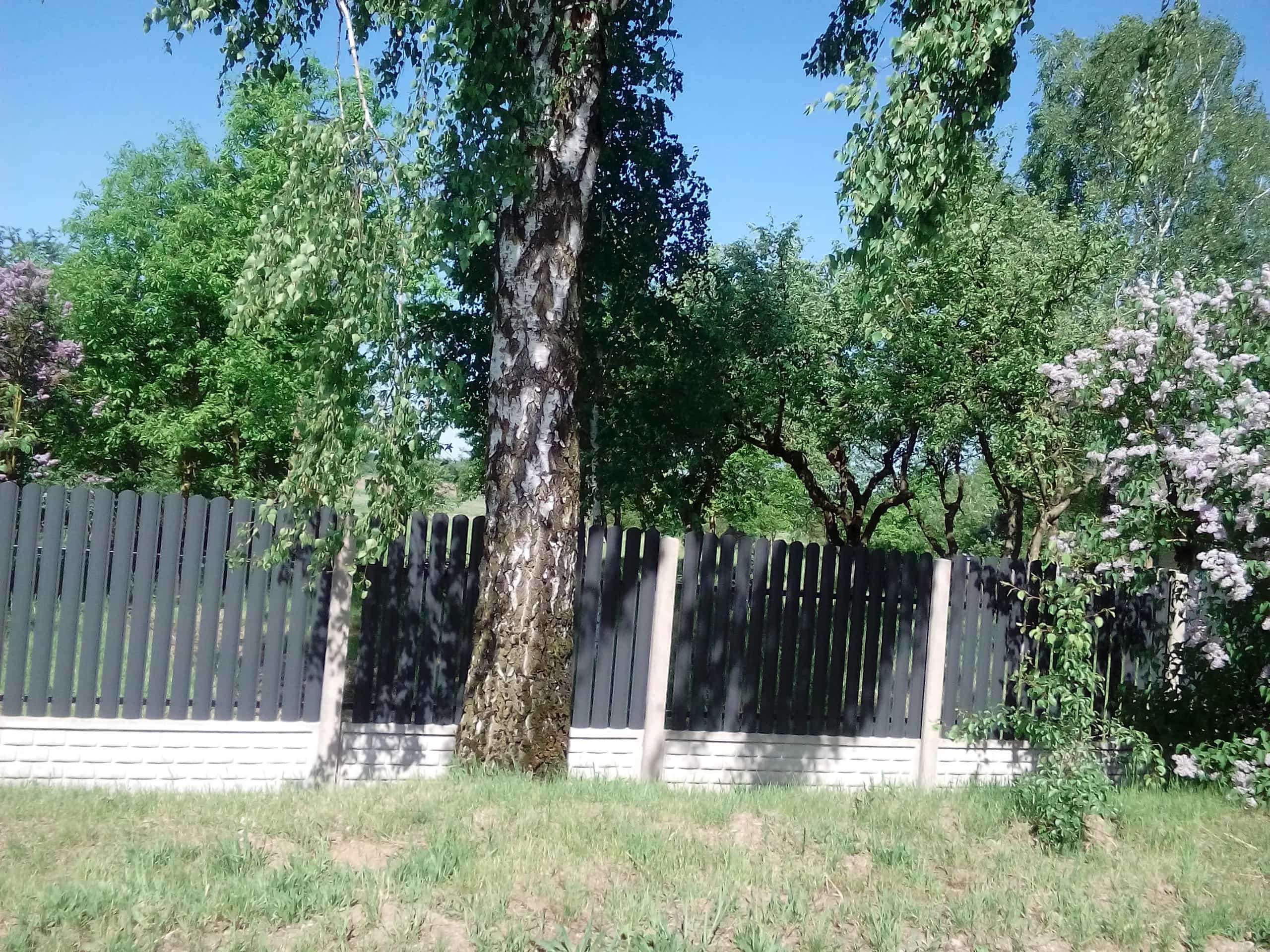 Беларусь, Брестская область, Каменецкий район, Верховичский сельсовет, деревня Копылы, 32, фото 7