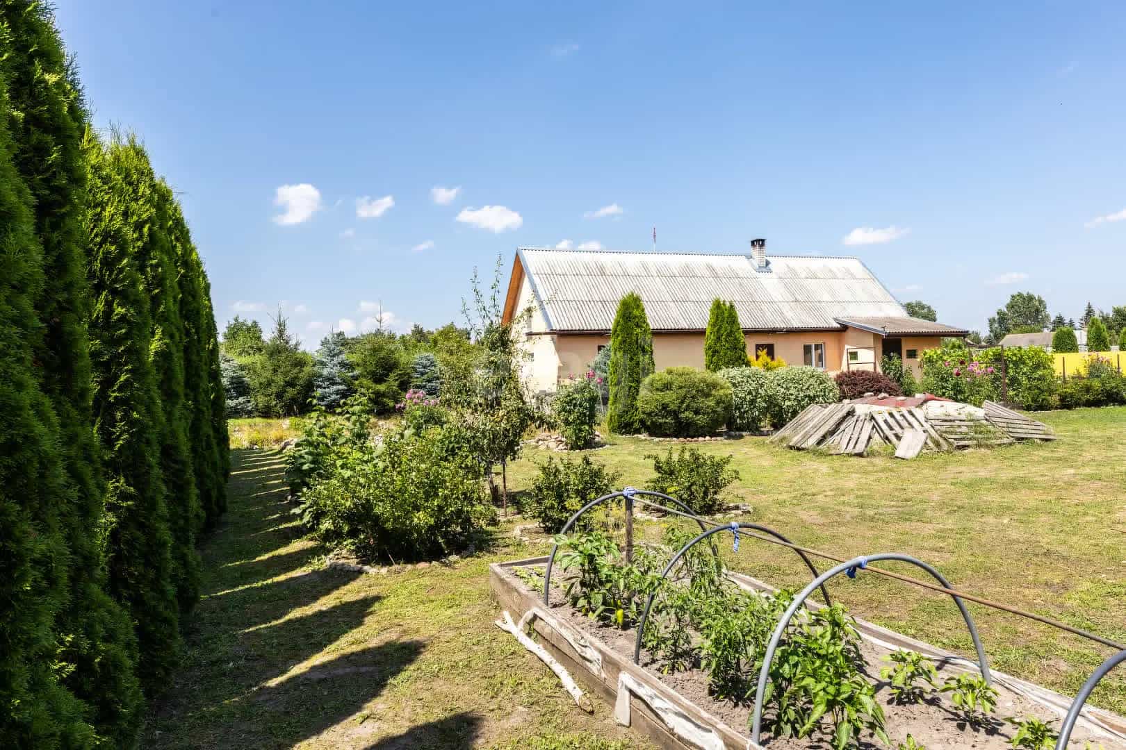Беларусь, Брестская область, Жабинковский район, агрогородок Ракитница, Совхозная улица, 4, фото 29