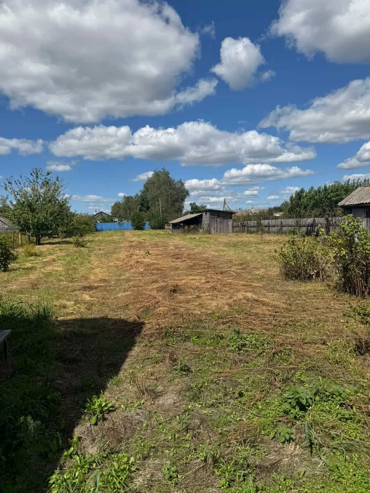 Беларусь, Гомельская область, Добрушский район, агрогородок Крупец, Комсомольская улица, 29, фото 14