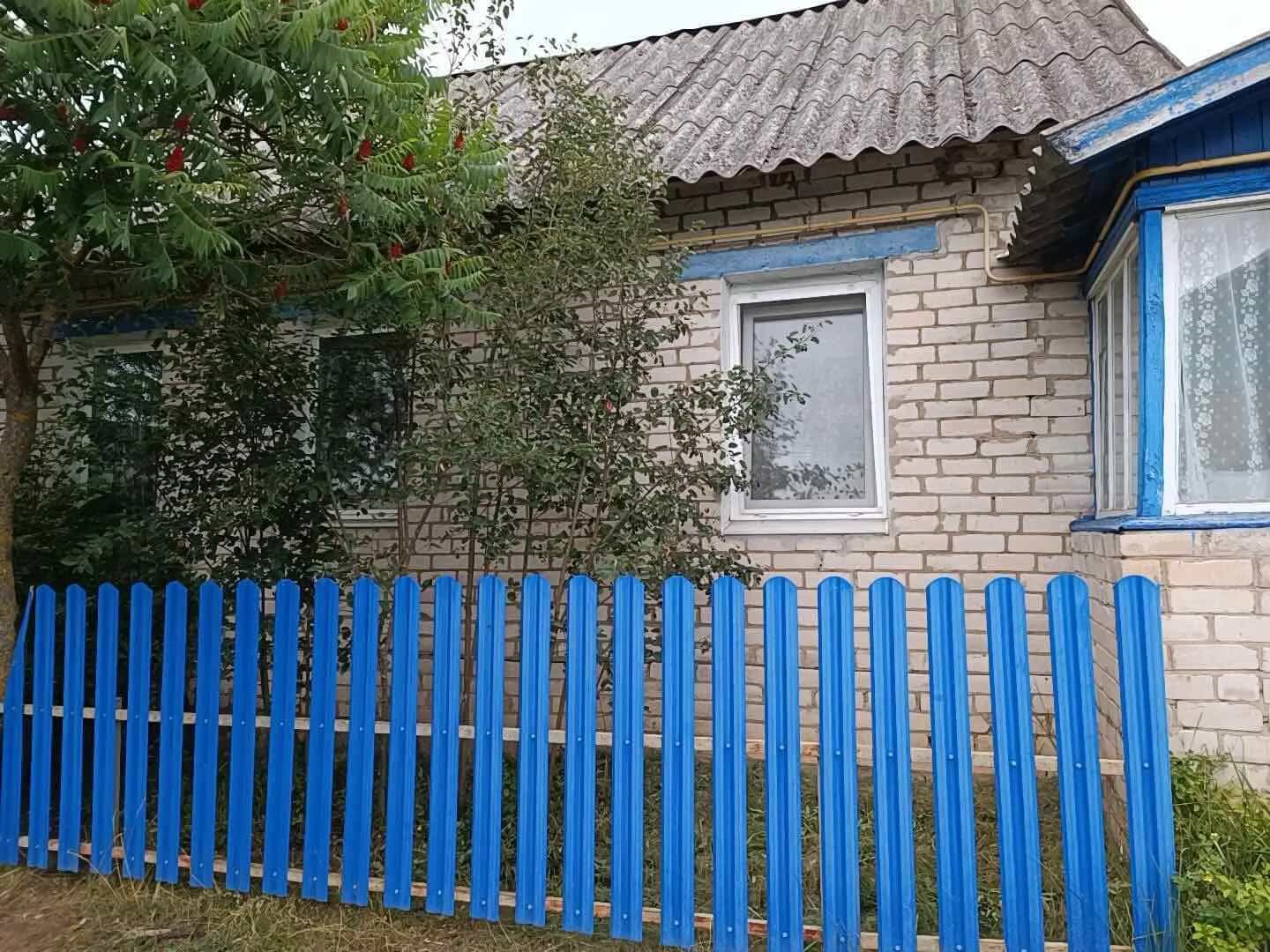 Беларусь, Витебская область, Дубровно, Кузнечный переулок, 16