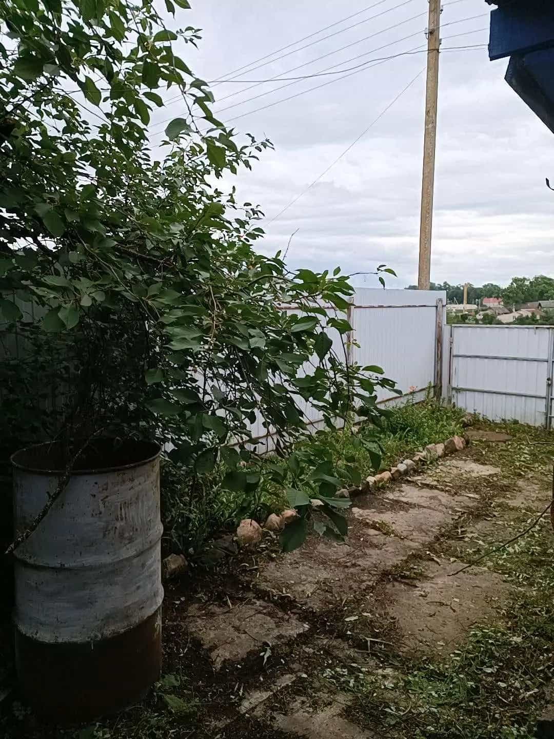 Беларусь, Витебская область, Дубровно, Кузнечный переулок, 16, фото 17