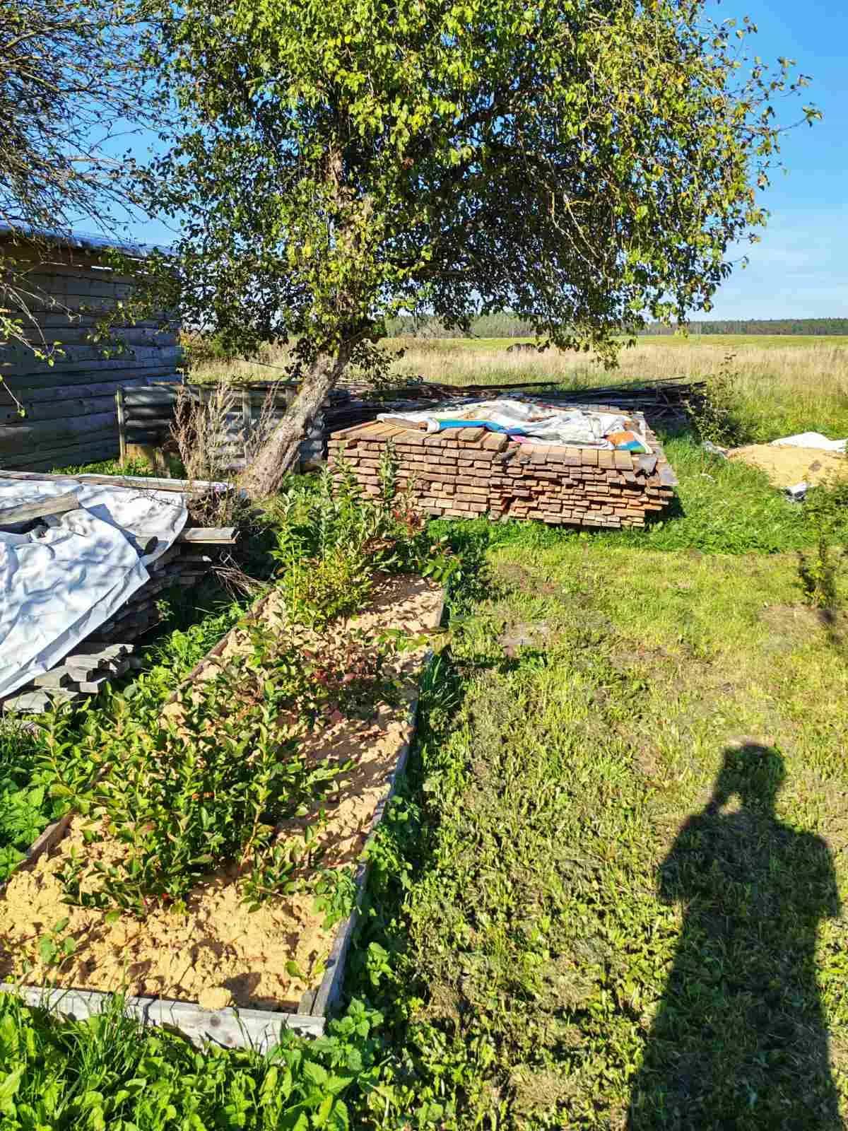 Беларусь, Гродненская область, Ошмянский район, Борунский сельсовет, деревня Трасеченяты, 32, фото 7