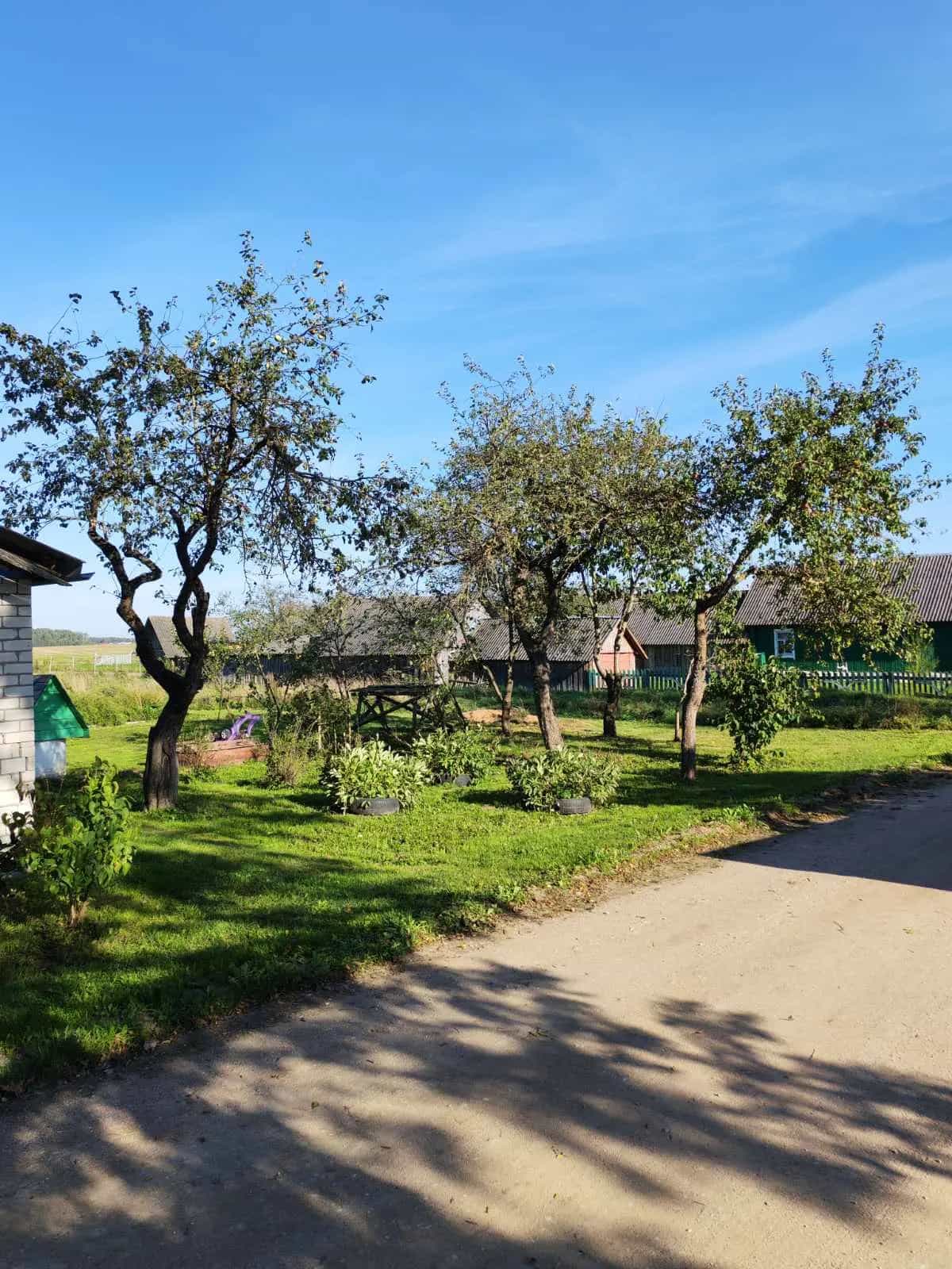 Беларусь, Гродненская область, Ошмянский район, Борунский сельсовет, деревня Трасеченяты, 32, фото 8