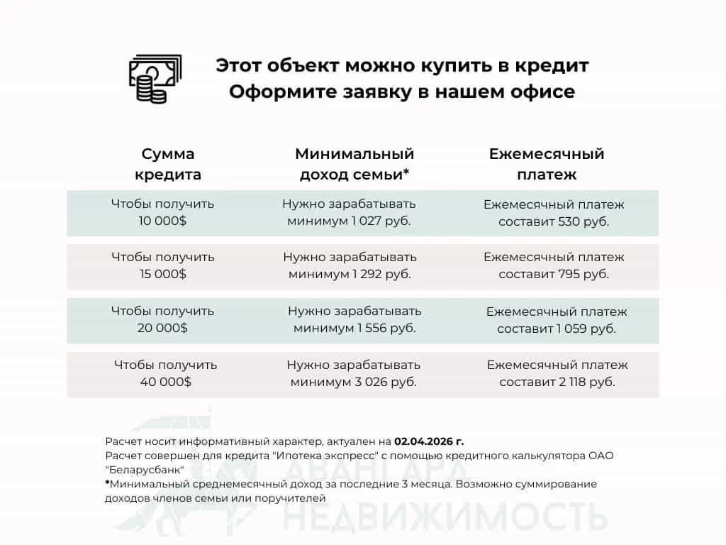 Беларусь, Минская область, Дзержинский район, Добринёвский сельсовет, деревня Боровики, Минская улица, 40, фото 49