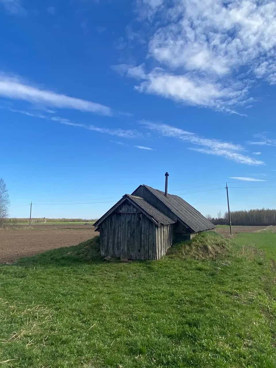 Беларусь, Гродненская область, Ивьевский район, Лаздунский сельсовет, деревня Бочешники, фото 6