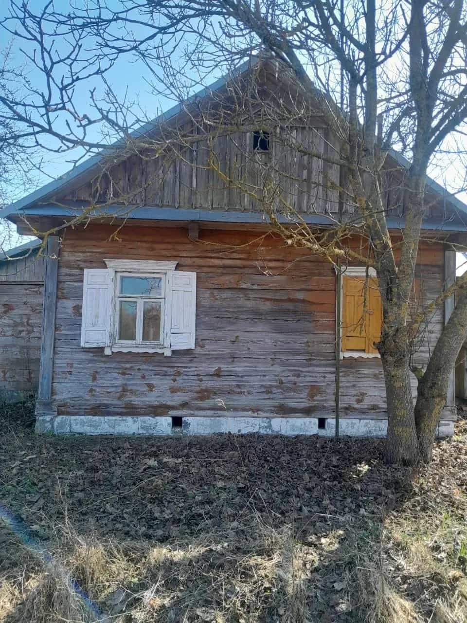 Беларусь, Брестская область, Дрогичинский район, Бездежский сельсовет, деревня Заставье, Первомайская улица, 86, фото 7
