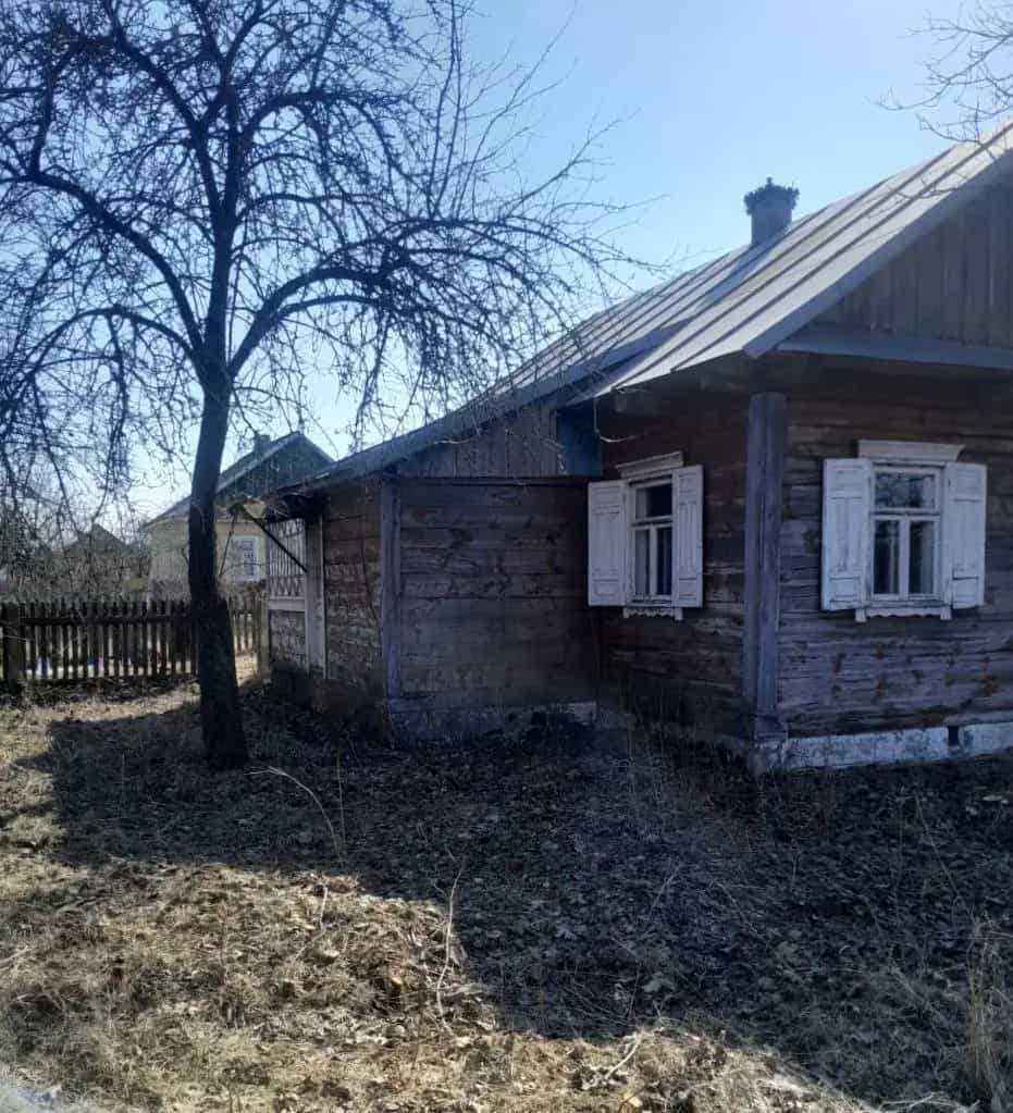 Беларусь, Брестская область, Дрогичинский район, Бездежский сельсовет, деревня Заставье, Первомайская улица, 86, фото 8