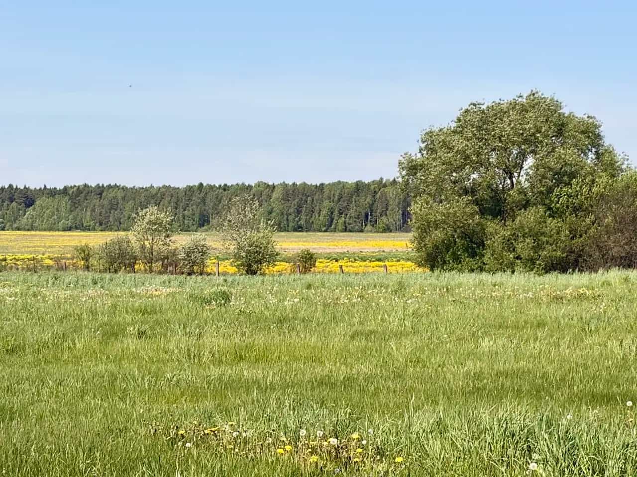 Беларусь, Минская область, Пуховичский сельсовет, агрогородок Пуховичи, улица Фрунзе, 35, фото 11