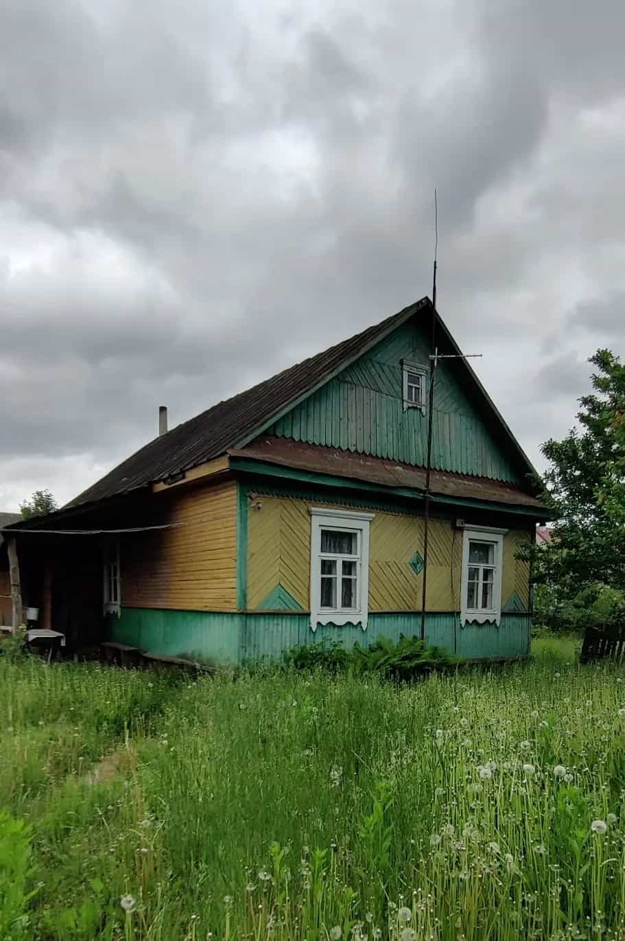 Беларусь, Минская область, Слуцкий район, Весейский сельсовет, деревня Красное Село, Омговичская улица, 29, фото 3
