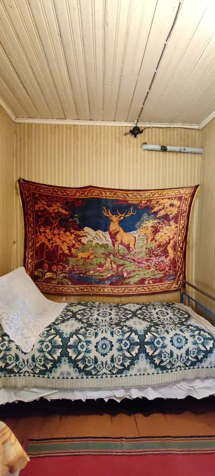 Беларусь, Минская область, Слуцкий район, Весейский сельсовет, деревня Красное Село, Омговичская улица, 29, фото 14