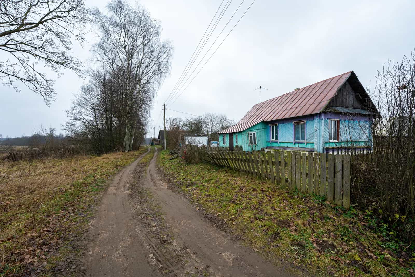 Беларусь, Минская область, Логойский сельсовет, агрогородок Гостиловичи, Заречный переулок, 8, фото 12