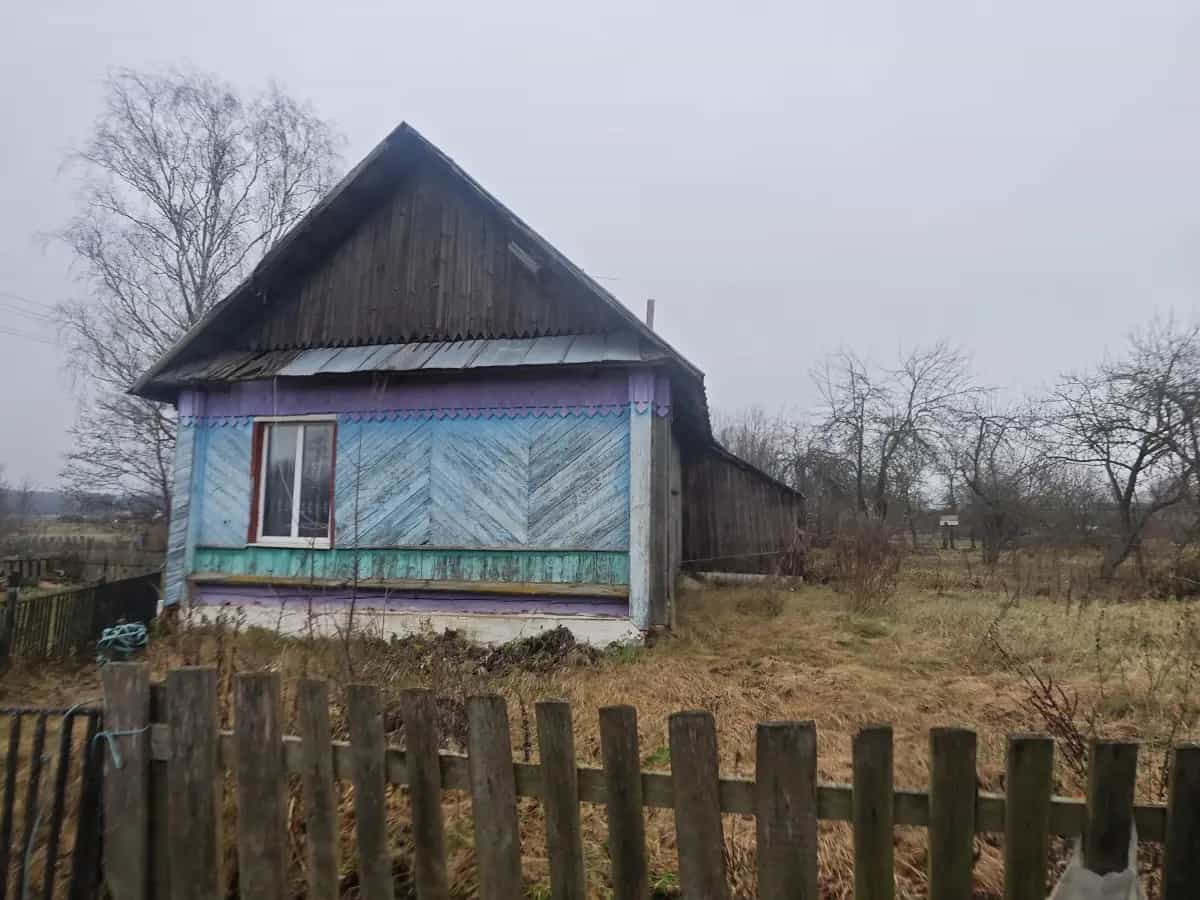 Беларусь, Минская область, Логойский сельсовет, агрогородок Гостиловичи, Заречный переулок, 8, фото 15