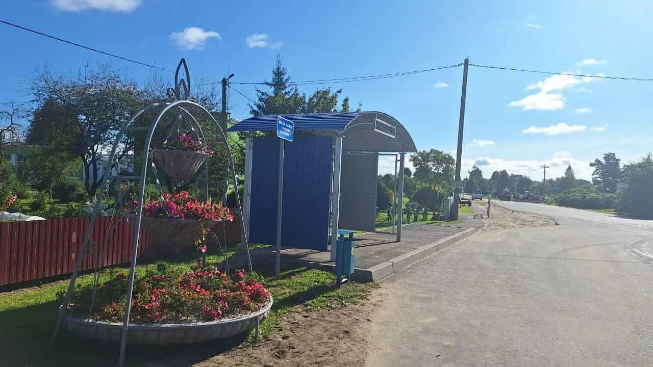 Беларусь, Минская область, Воложинский район, Вишневский сельсовет, агрогородок Богданов, улица Фердинанда Рущица, 7, фото 18