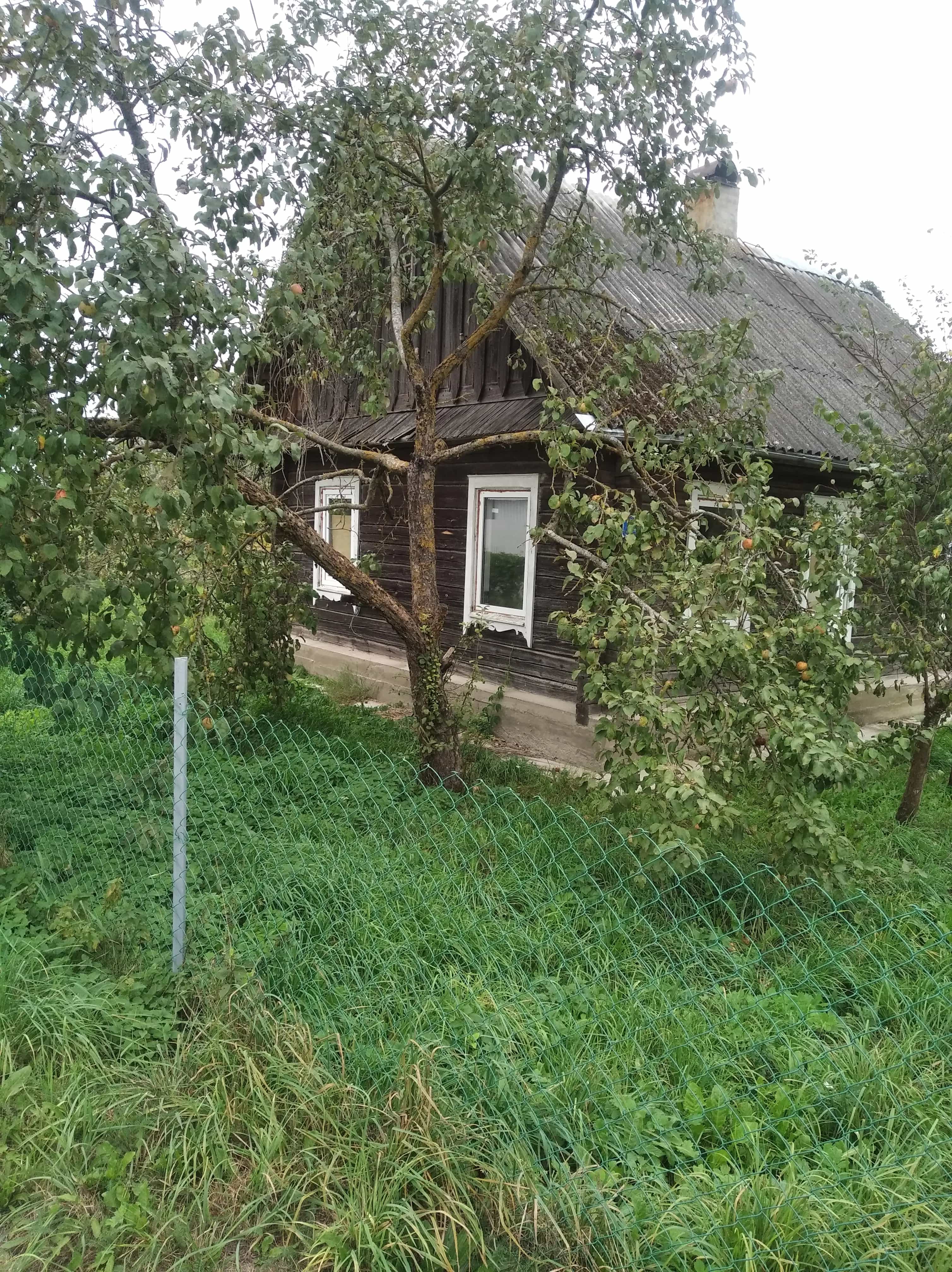 Беларусь, Гродненская область, Ивьевский район, деревня Бакшты, Революционная улица, 8, фото 4