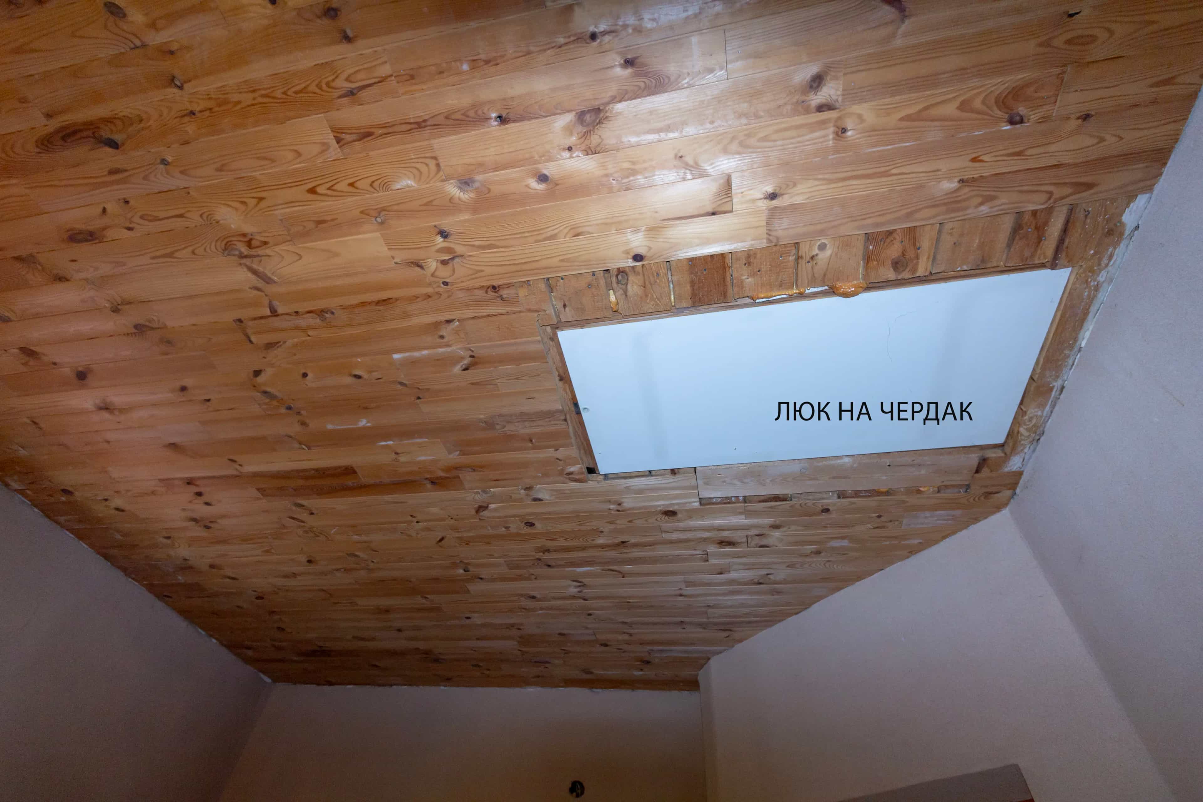 Беларусь, Минская область, Молодечненский район, Олехновичский сельсовет, агрогородок Олехновичи, Лесная улица, 12, фото 19