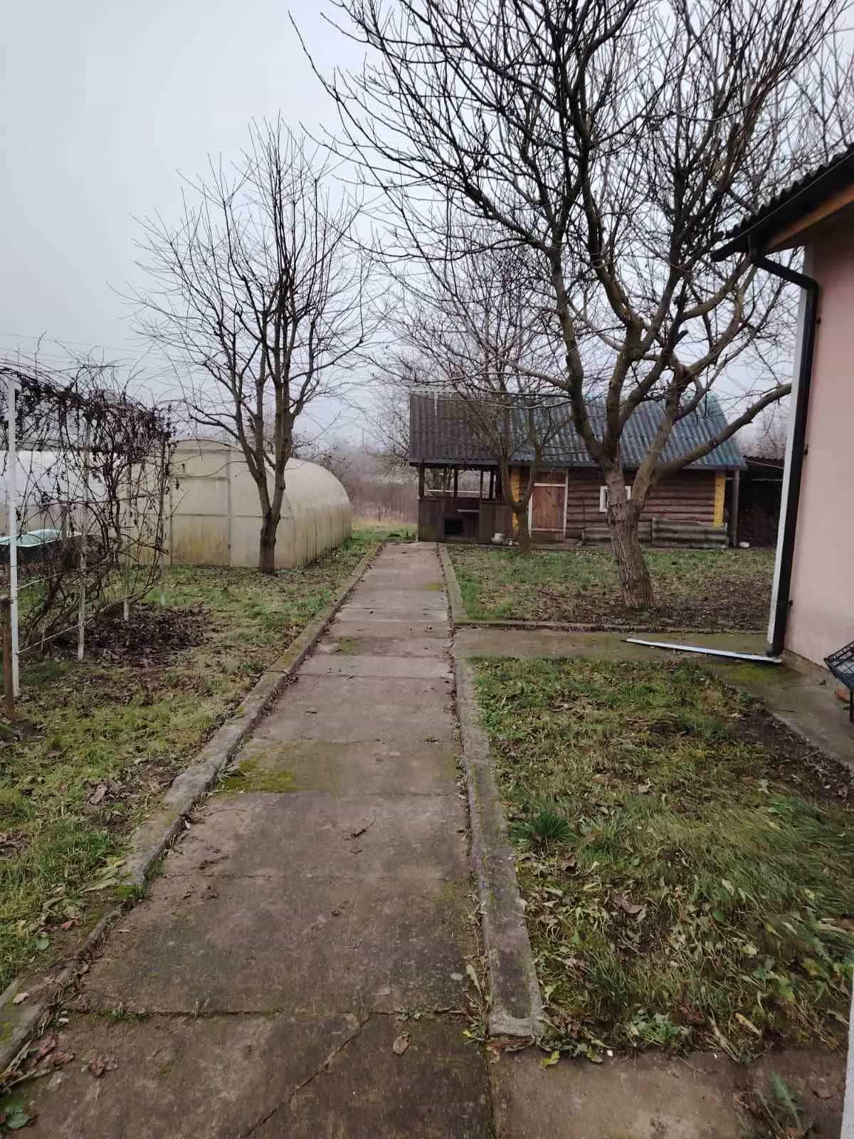 Беларусь, Витебская область, Чашники, улица Механизаторов, 15, фото 6