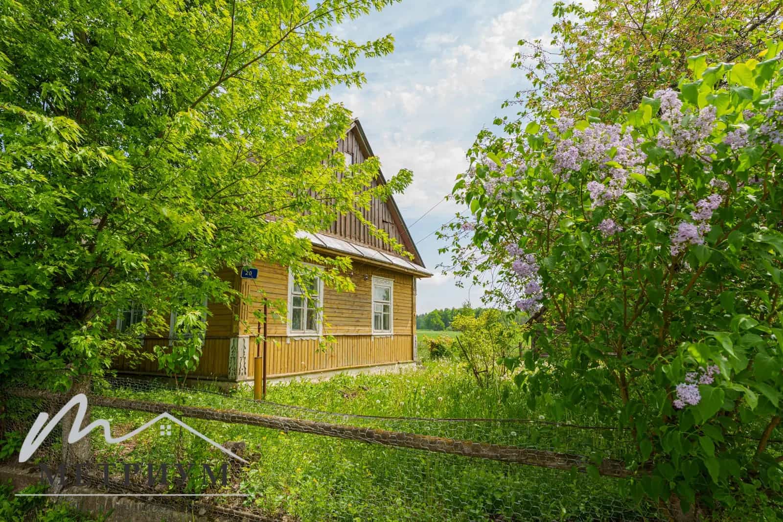 Беларусь, Минская область, Столбцовский район, Деревнянский сельсовет, деревня Борок, Центральная улица, 15, фото 13