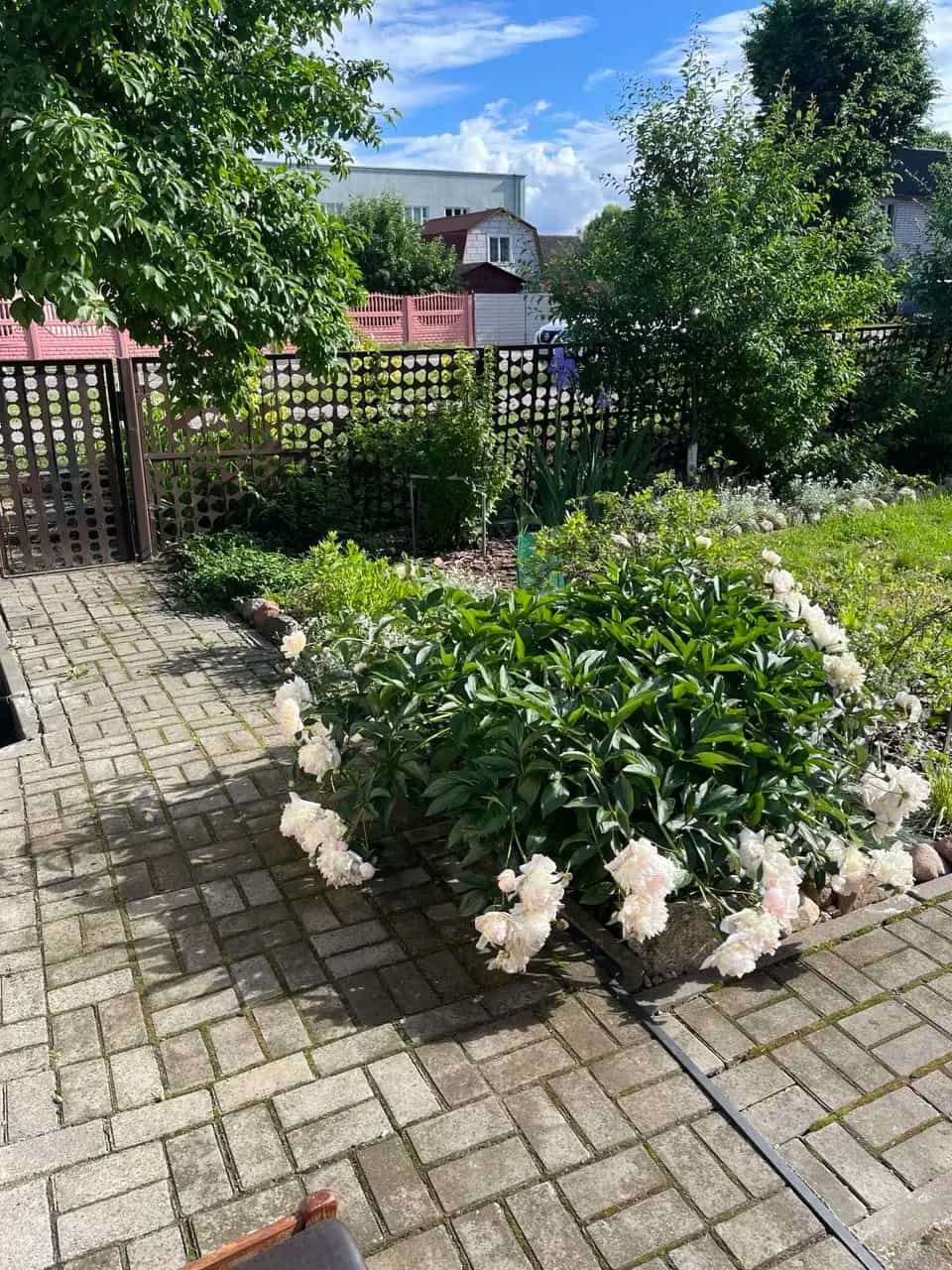 Беларусь, Гродненская область, Лида, улица Максима Горького, 86, фото 5