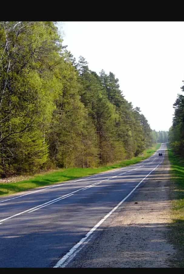 Беларусь, Минская область, Смолевичский район, Пекалинский сельсовет, СТ Зодиак-Ворот, 117, фото 18