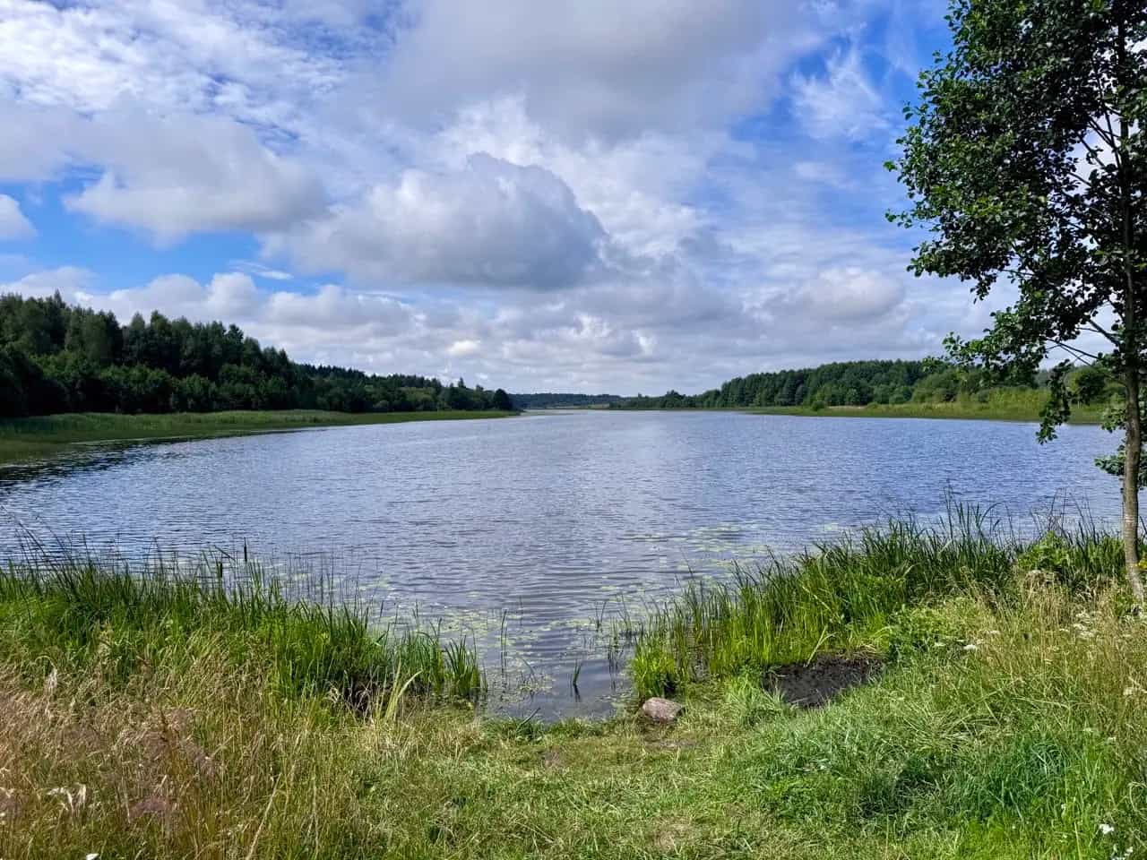 Беларусь, Минская область, Логойский район, Крайский сельсовет, деревня Завишинская Рудня, 3Б