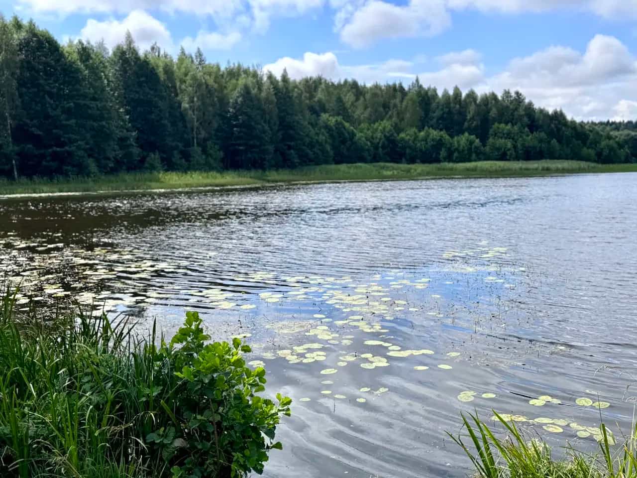 Беларусь, Минская область, Логойский район, Крайский сельсовет, деревня Завишинская Рудня, 3Б, фото 7