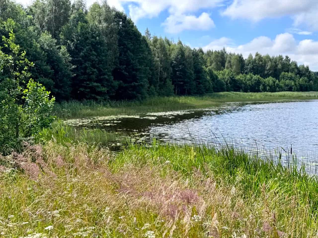 Беларусь, Минская область, Логойский район, Крайский сельсовет, деревня Завишинская Рудня, 3Б, фото 10