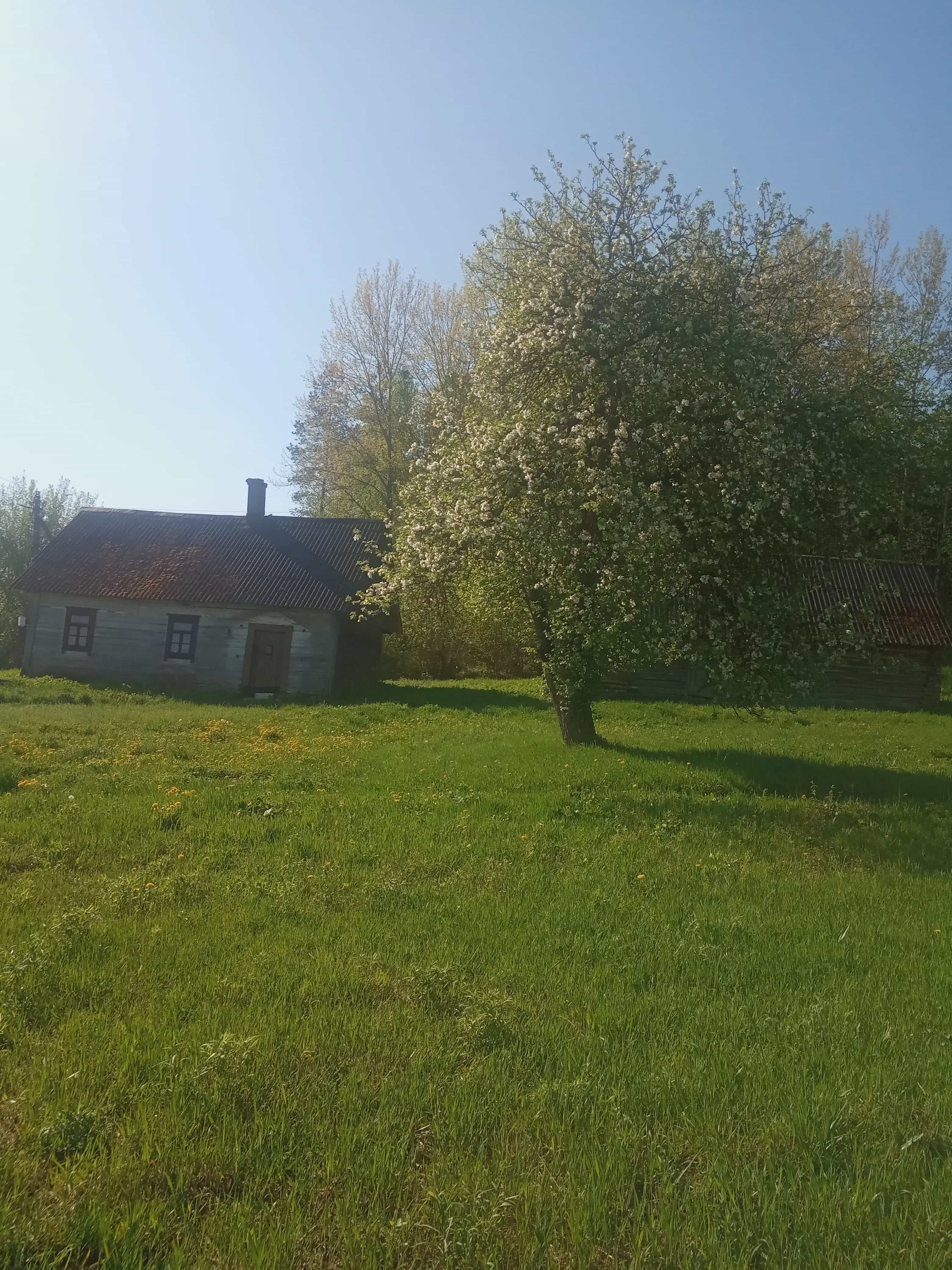Беларусь, Гродненская область, Слонимский район, Деревянчицкий сельсовет, деревня Якимовичи, Заречная улица, 3, фото 2