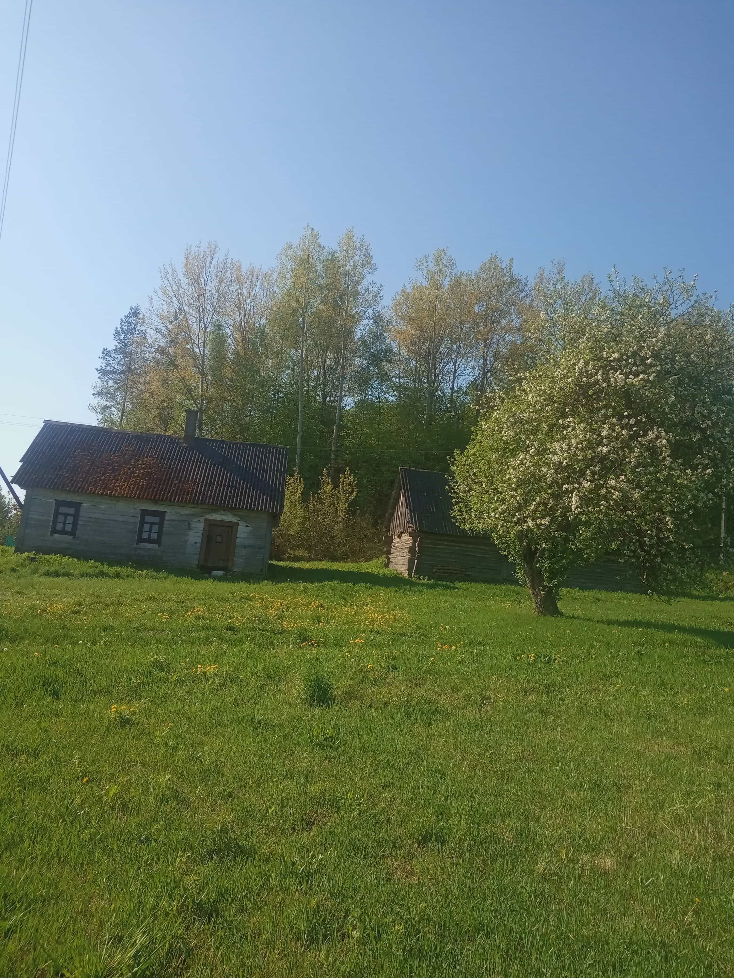 Беларусь, Гродненская область, Слонимский район, Деревянчицкий сельсовет, деревня Якимовичи, Заречная улица, 3, фото 5