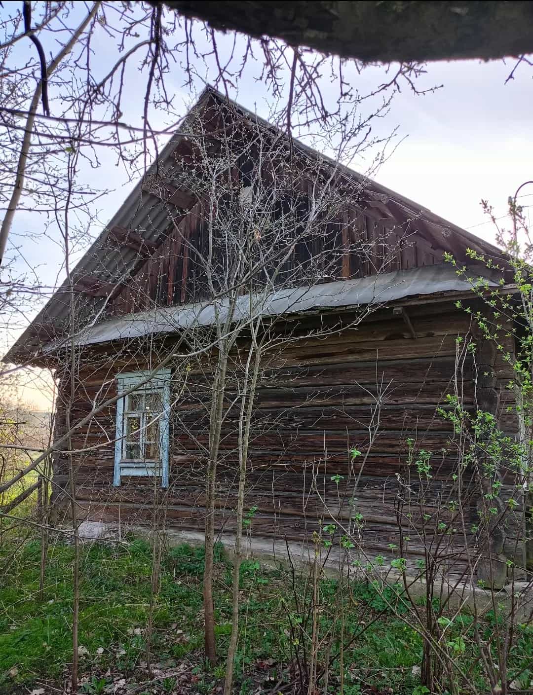 Беларусь, Минская область, Логойский район, Гайненский сельсовет, деревня Громницы, 11, фото 7