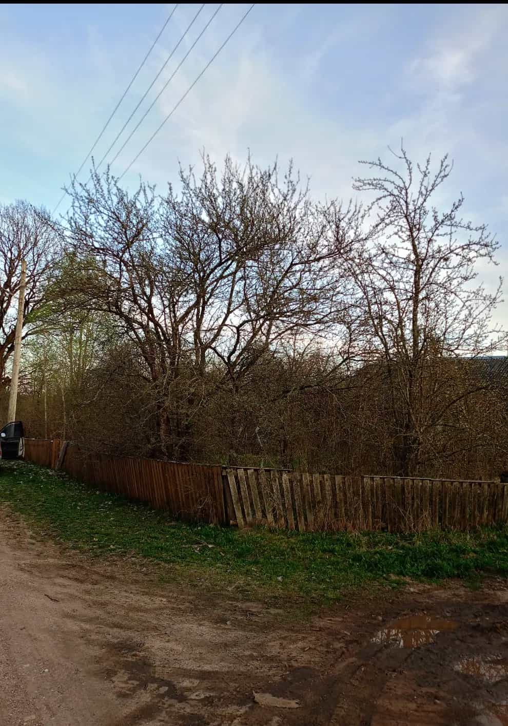 Беларусь, Минская область, Логойский район, Гайненский сельсовет, деревня Громницы, 11, фото 13