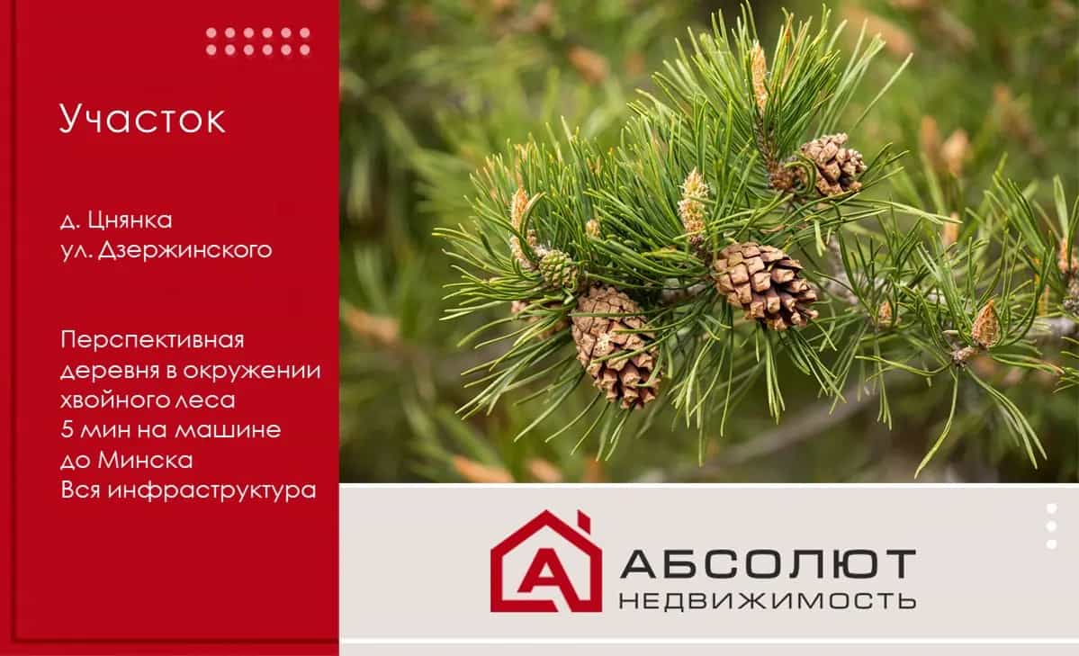 Беларусь, Минский район, Папернянский сельсовет, Цнянка, улица Дзержинского, 69