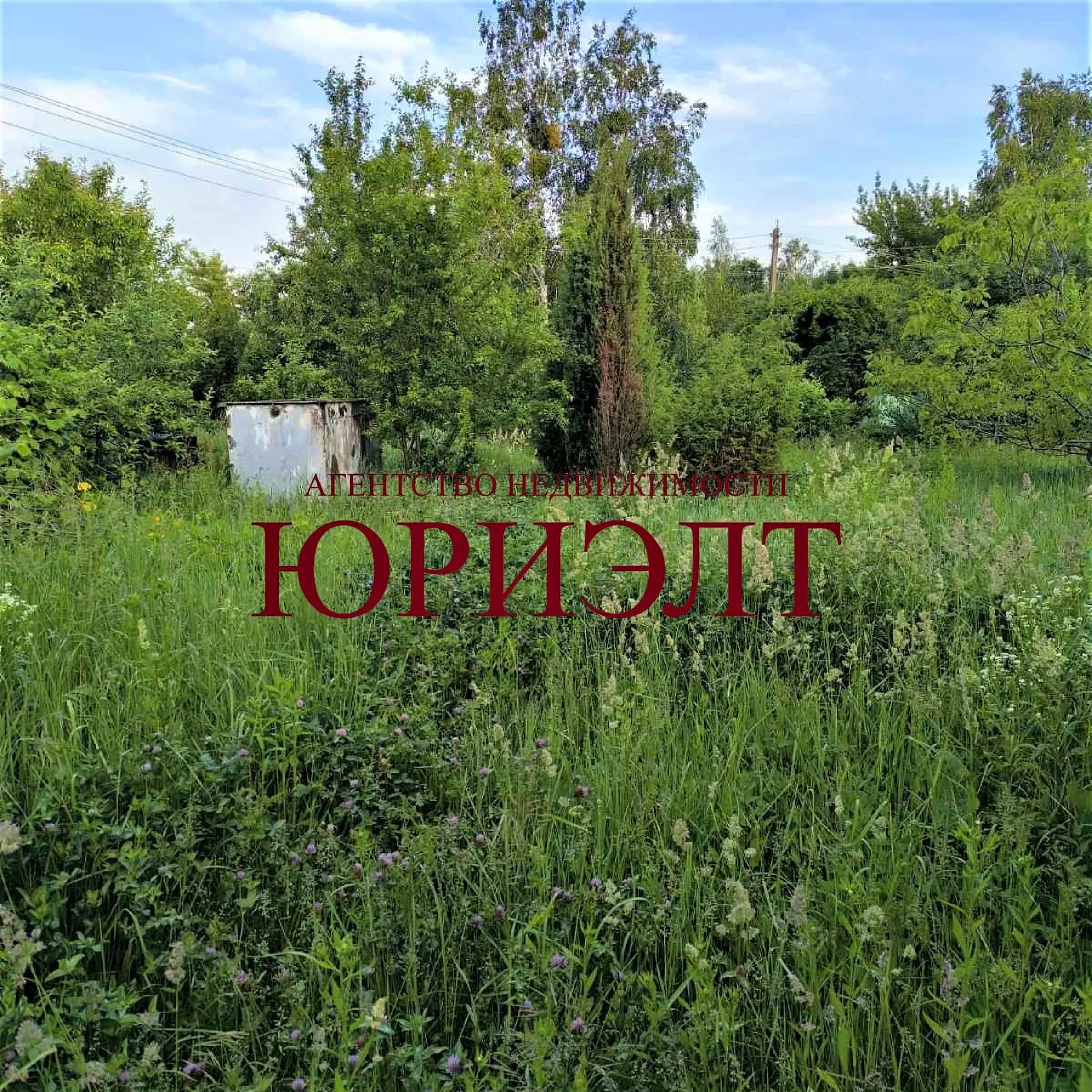 Беларусь, Гомельская область, Ветковский район, Радужский сельсовет, садоводческое товарищество Споницкое, 51