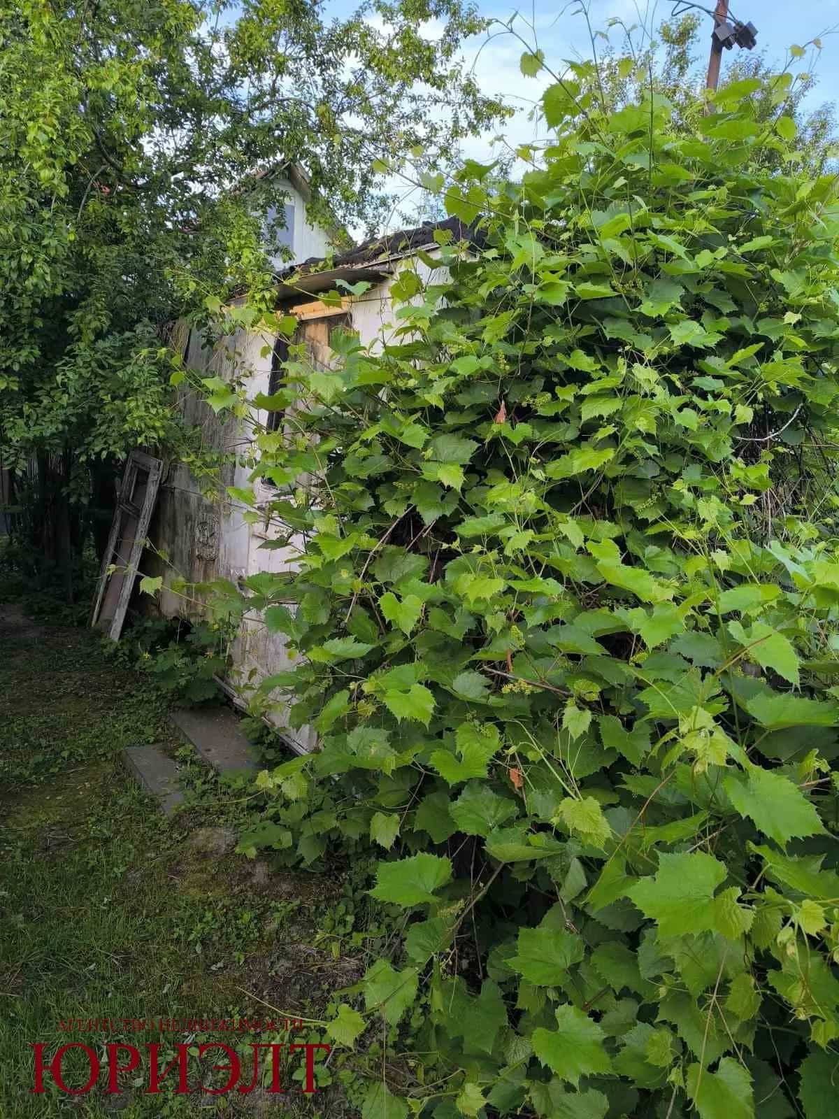 Беларусь, Гомельская область, Ветковский район, Радужский сельсовет, садоводческое товарищество Споницкое, 51, фото 4