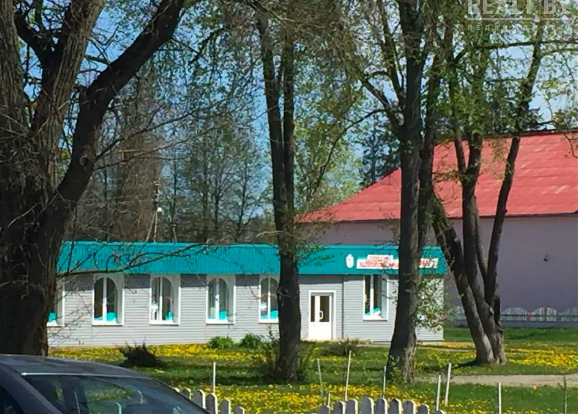 Беларусь, Могилёвская область, Кировский район, Любоничский сельсовет, агрогородок Любоничи, Школьная улица, 11, фото 16