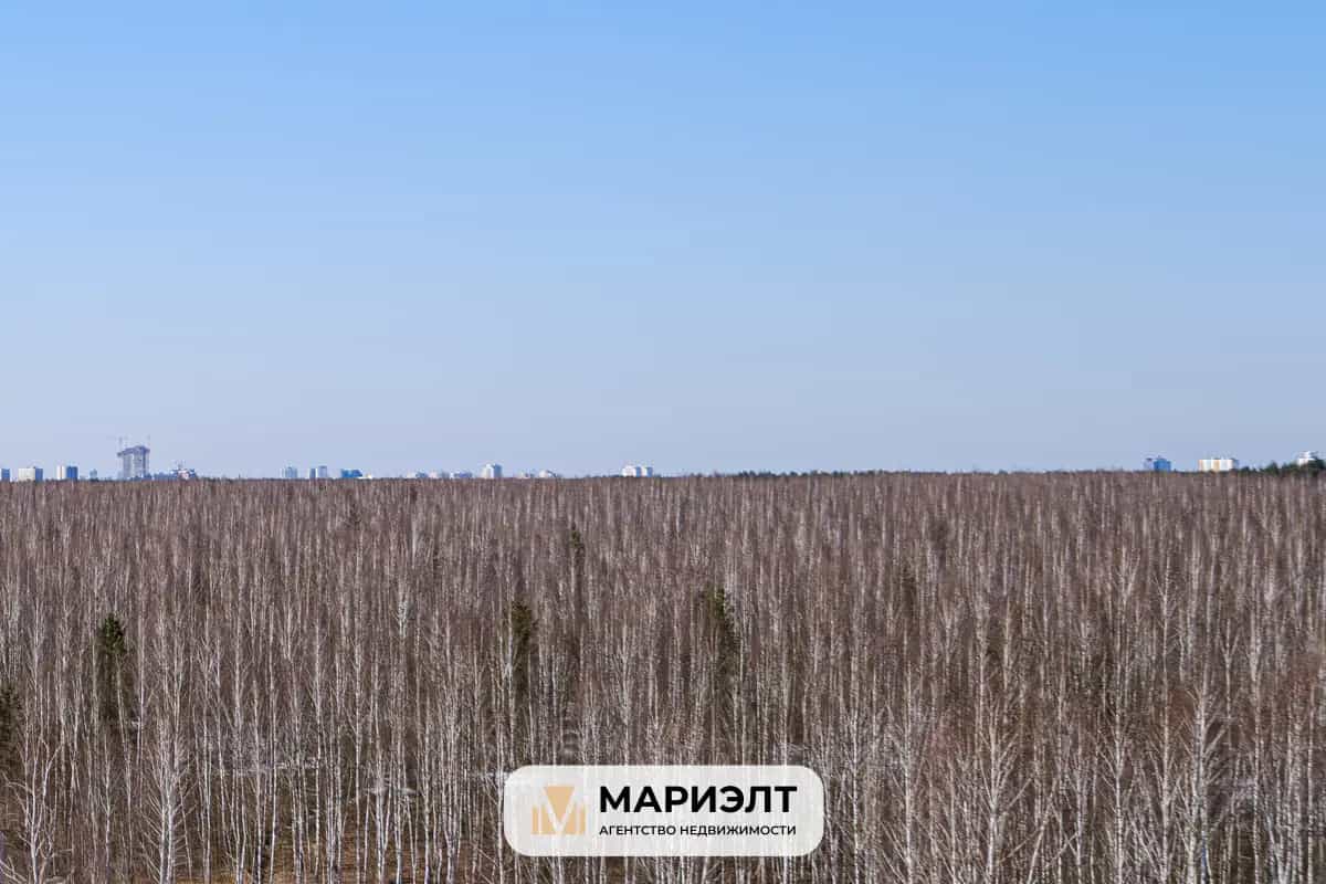 Беларусь, Минский район, агрогородок Колодищи, улица Хвойная Аллея, 4, фото 7