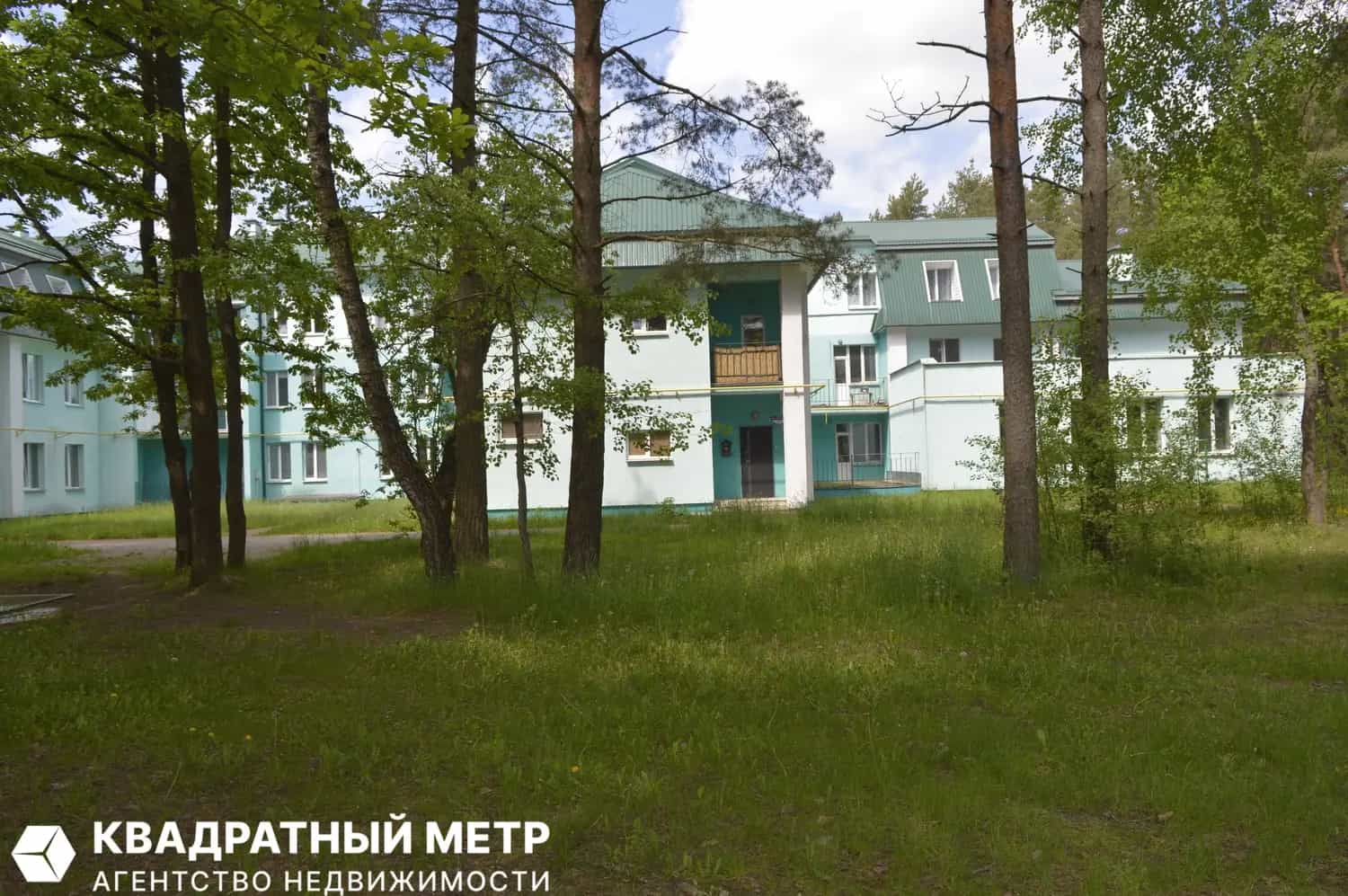Беларусь, Минская область, Пуховичский район, Свислочский сельсовет, городской посёлок Свислочь, Партизанская улица, 29Б, фото 2