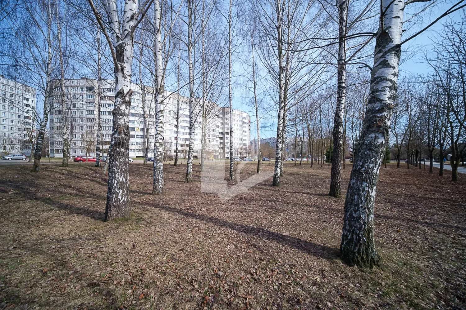 Беларусь, Минск, улица Белецкого, 20, фото 35