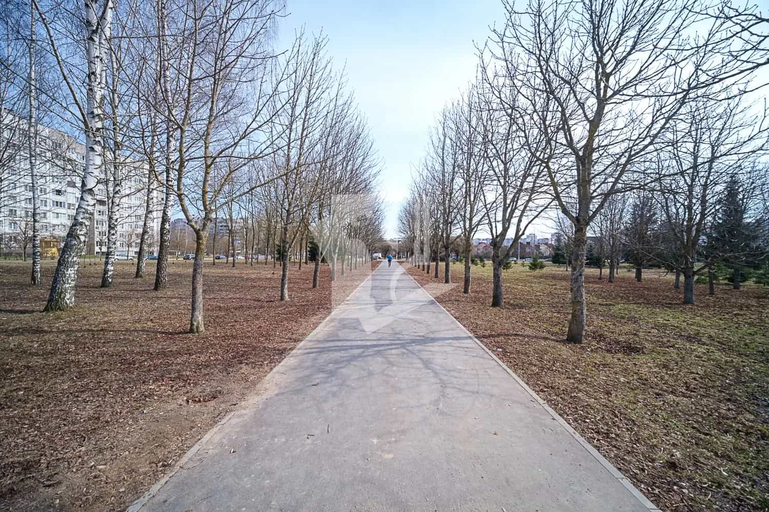 Беларусь, Минск, улица Белецкого, 20, фото 36