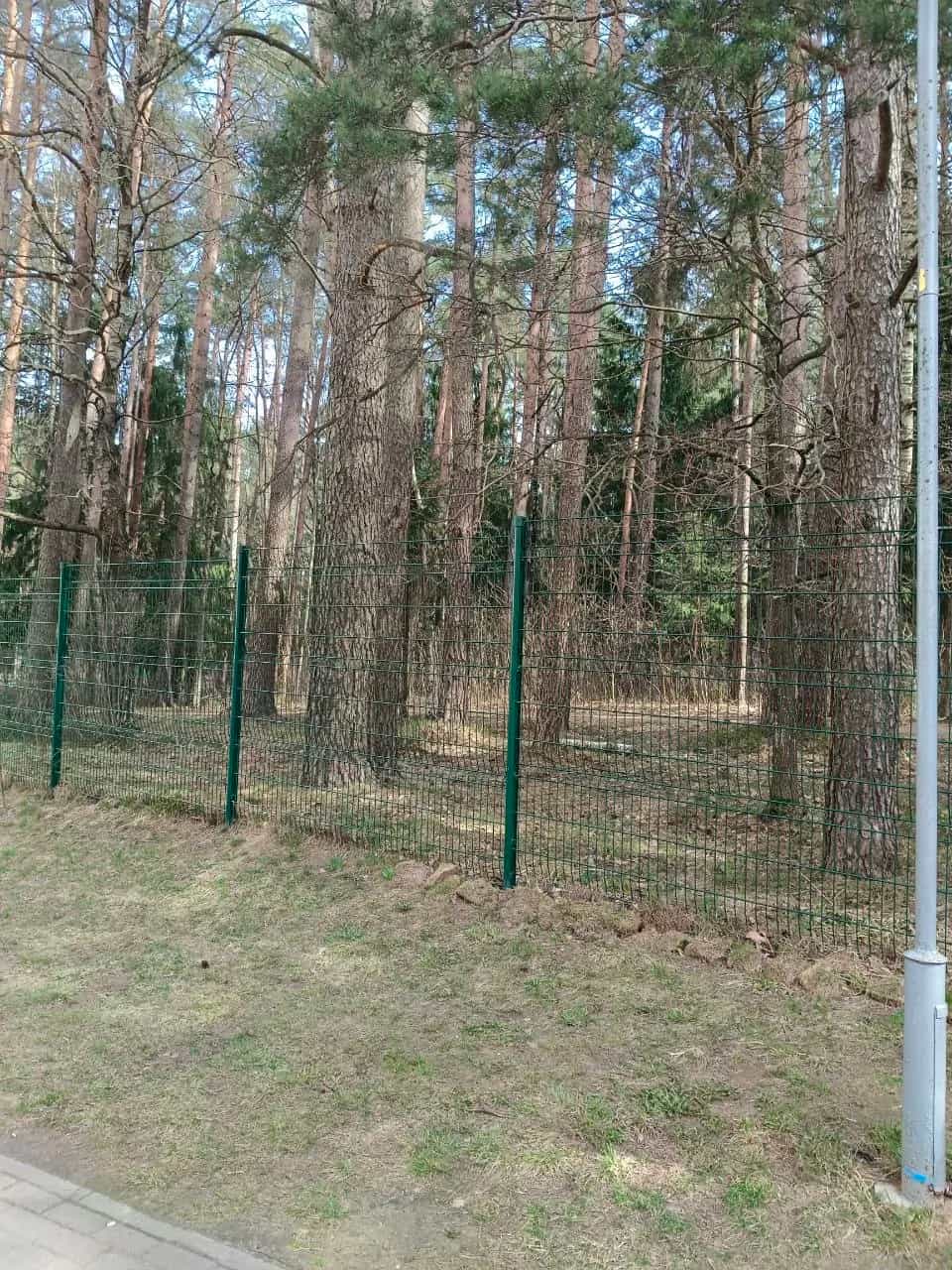Беларусь, Минский район, Боровлянский сельсовет, агрогородок Лесной, улица Н.Н. Александрова, 16, фото 23