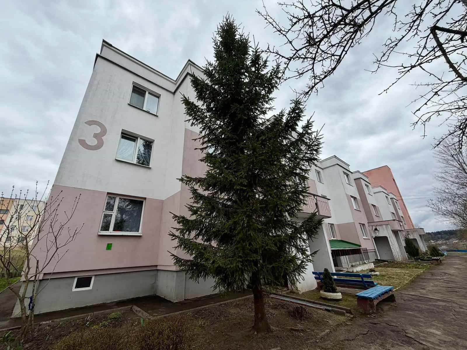 Беларусь, Минская область, Молодечненский район, городской посёлок Радошковичи, Восточная улица, 3, фото 18