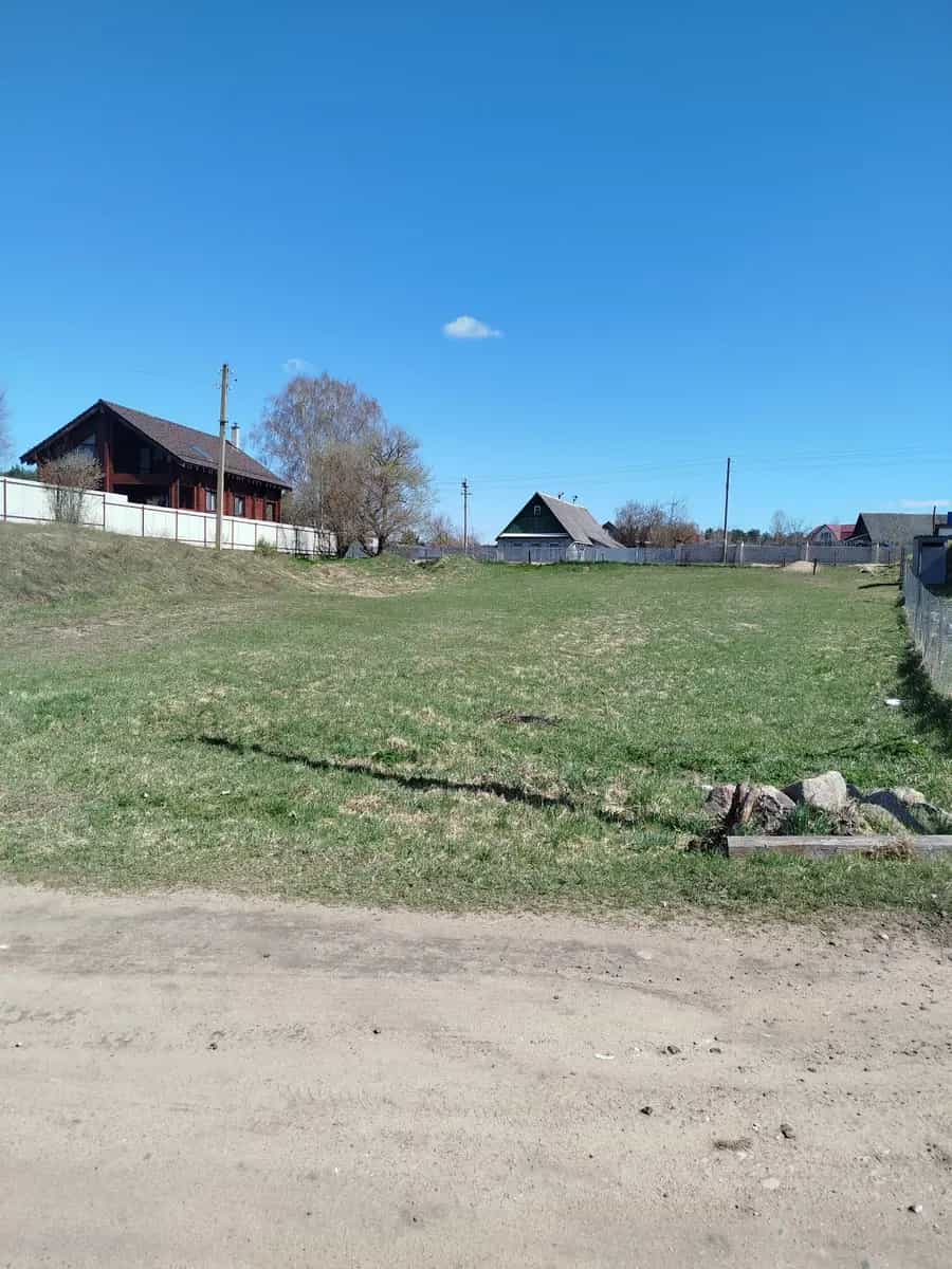 Беларусь, Минская область, Воложинский район, агрогородок Раков, улица Александра Пушкина, 22, фото 6