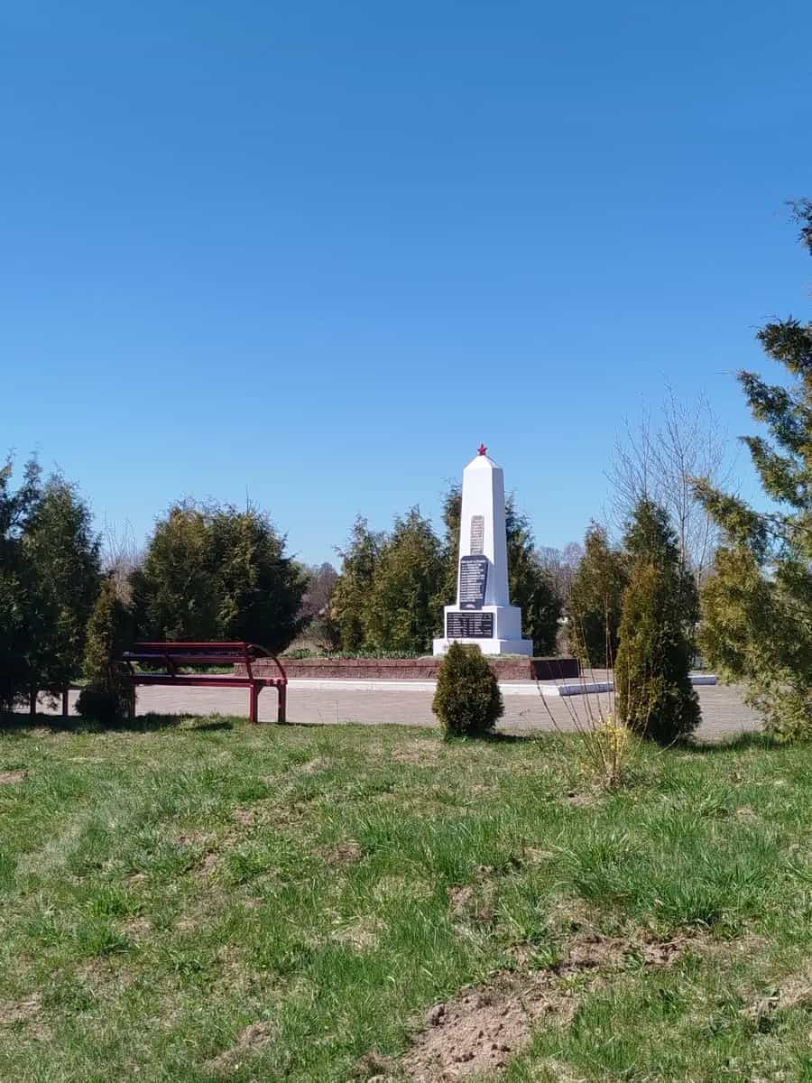 Беларусь, Минская область, Воложинский район, агрогородок Раков, улица Александра Пушкина, 22, фото 18