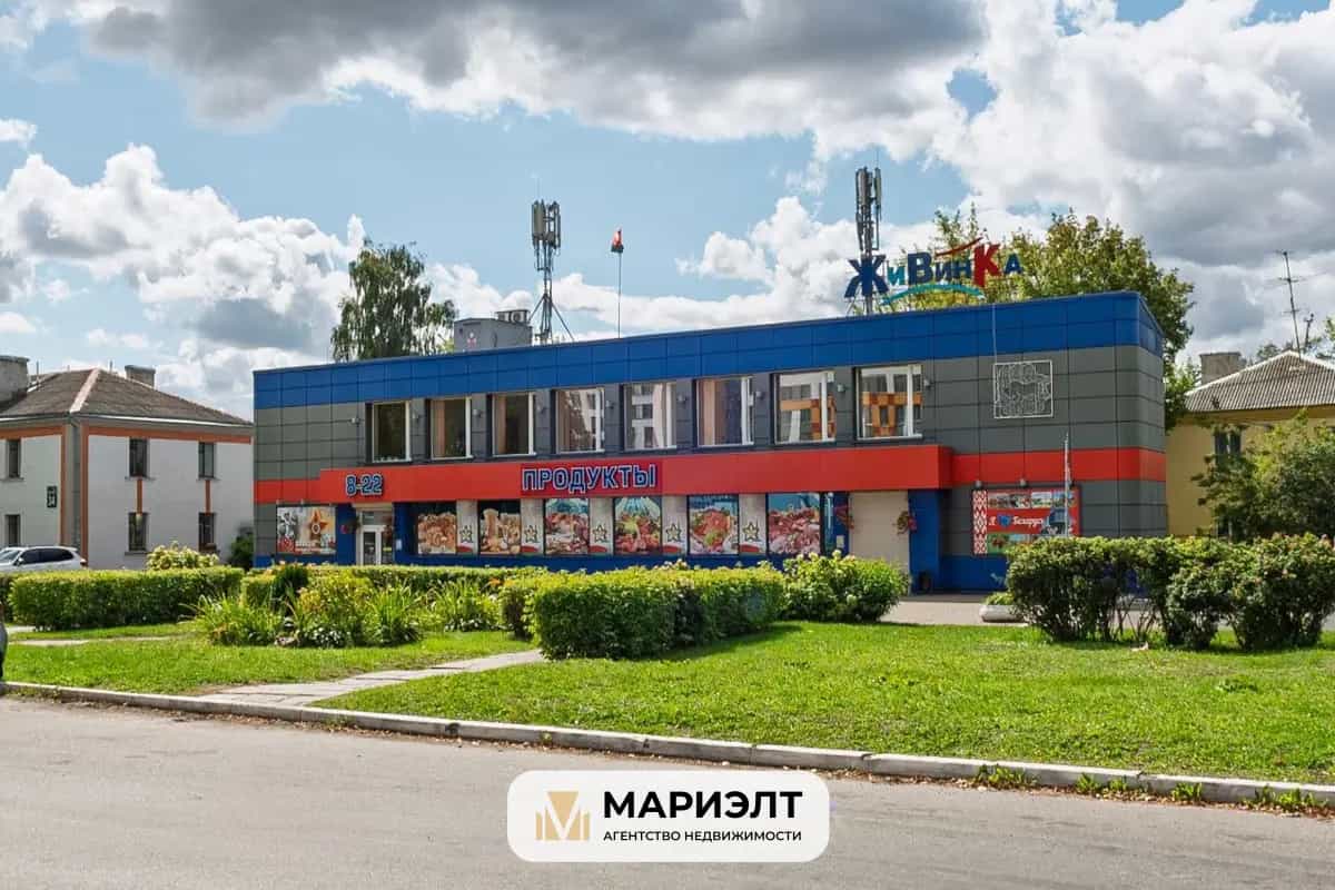 Беларусь, Минск, улица Михаила Савицкого, 10, фото 28