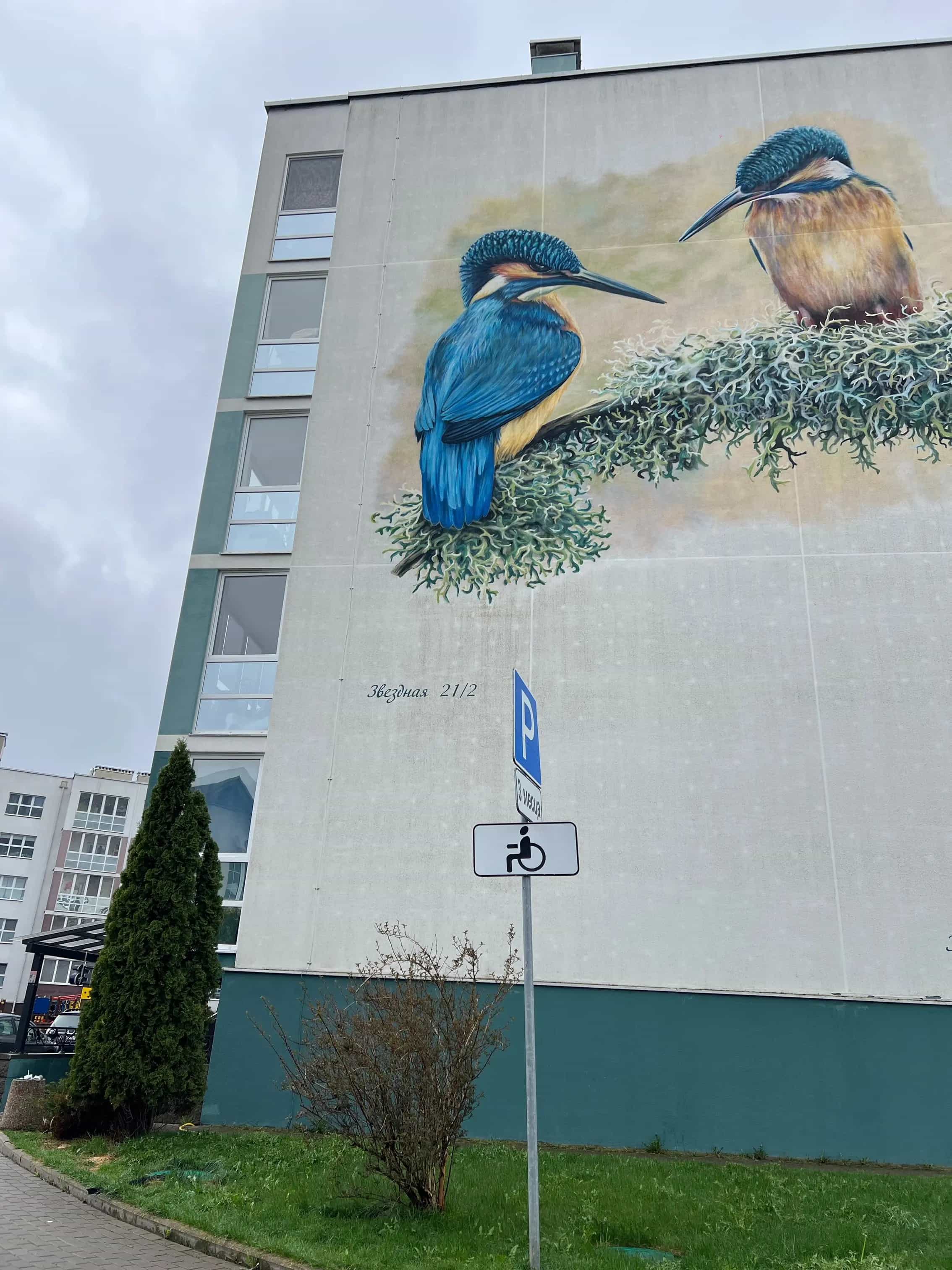 Беларусь, Минский район, Щомыслицкий сельсовет, Озерцо, Звёздная улица, 21к2, фото 21