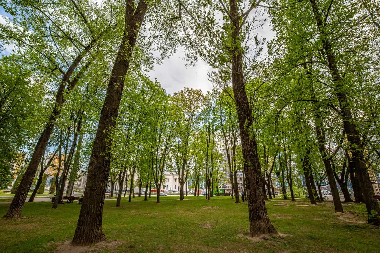Беларусь, Минск, Аэродромная улица, 16, фото 37